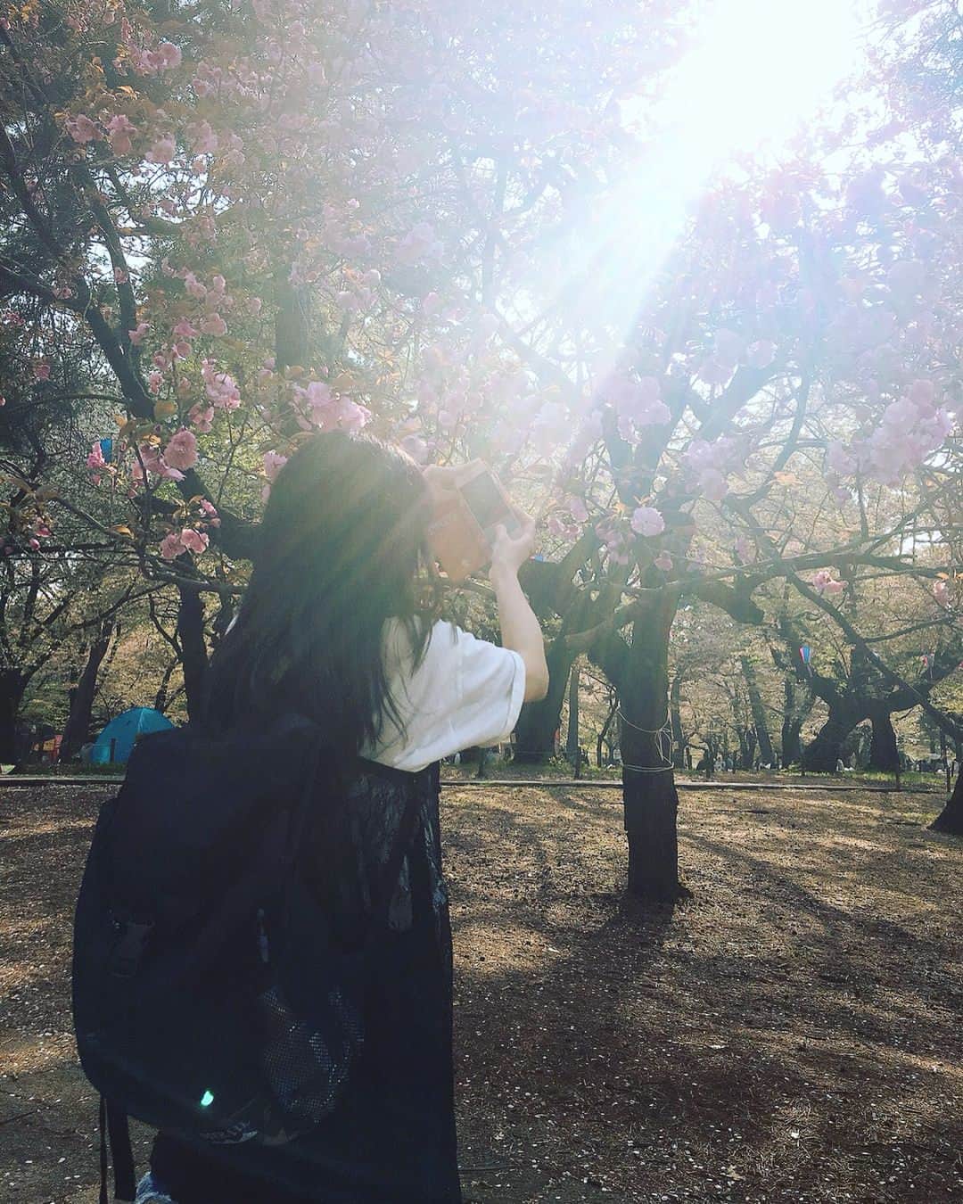 石田涼のインスタグラム：「お花見🌸しました！ 桜は散っちゃってたけど暖かかったし梅？がありました🌸  #カバガ #idol #お花見 #梅 #桜 #flower #お散歩 #公園 #like4like #followme」