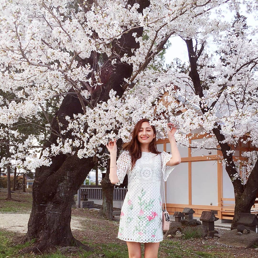 のインスタグラム：「． お花見〜🌸 しかも山梨〜🍇🍏 ． ぽかぽか天気すぎて ワンピース👗 1枚でも全然大丈夫だった💕 ． #お花見 #さくら #桜 #sakura #cherryblossom #大きな木 #桜の木の下で」