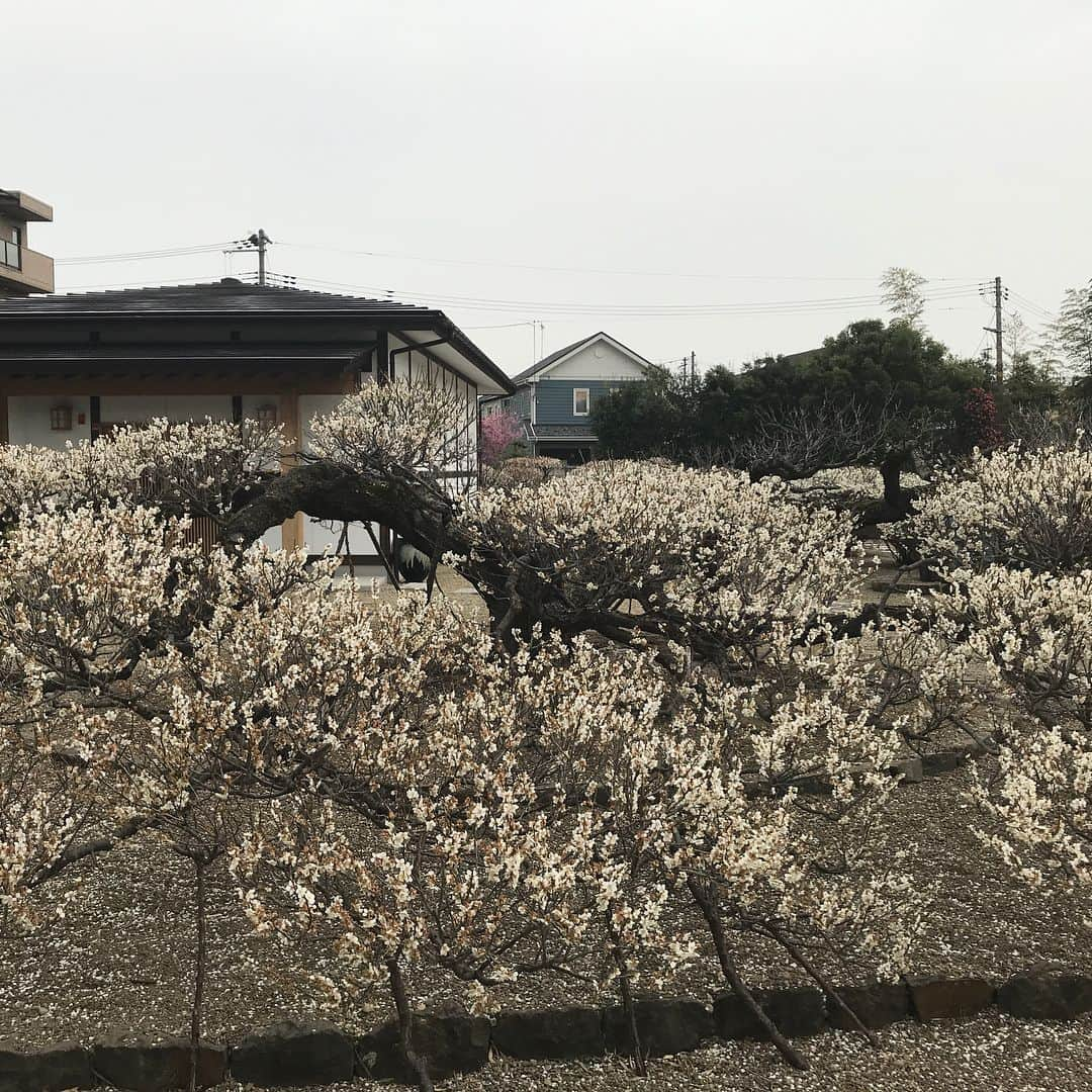 宮城県観光課のインスタグラム