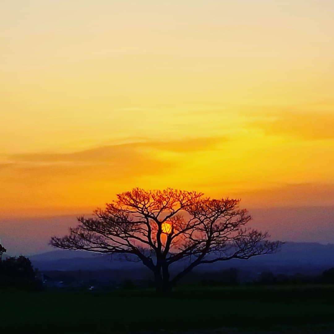 永井利光のインスタグラム：「都城の夕焼け🎵」