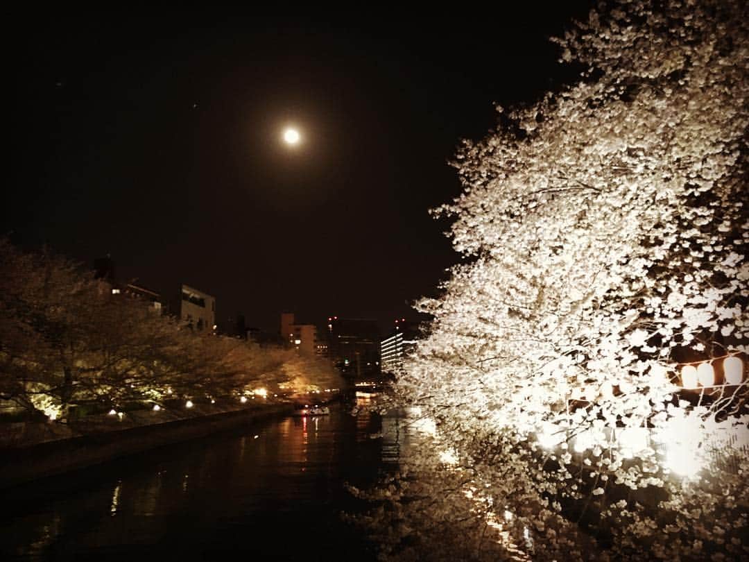 滝元吏紗のインスタグラム：「🌝🌸 #japan #fullmoon #sakura」