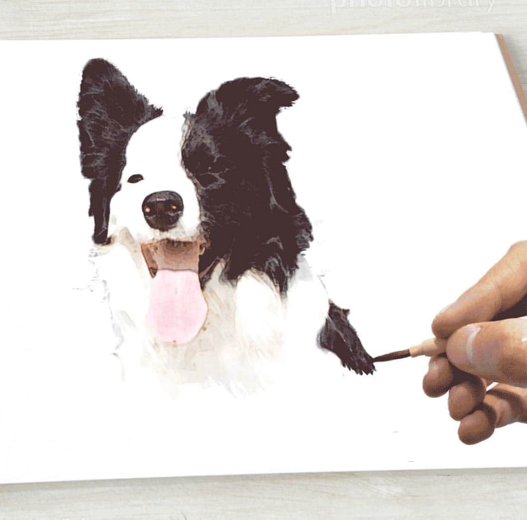 Dogfactoryさんのインスタグラム写真 - (DogfactoryInstagram)「写真加工。」4月4日 5時51分 - dogfactory_japan