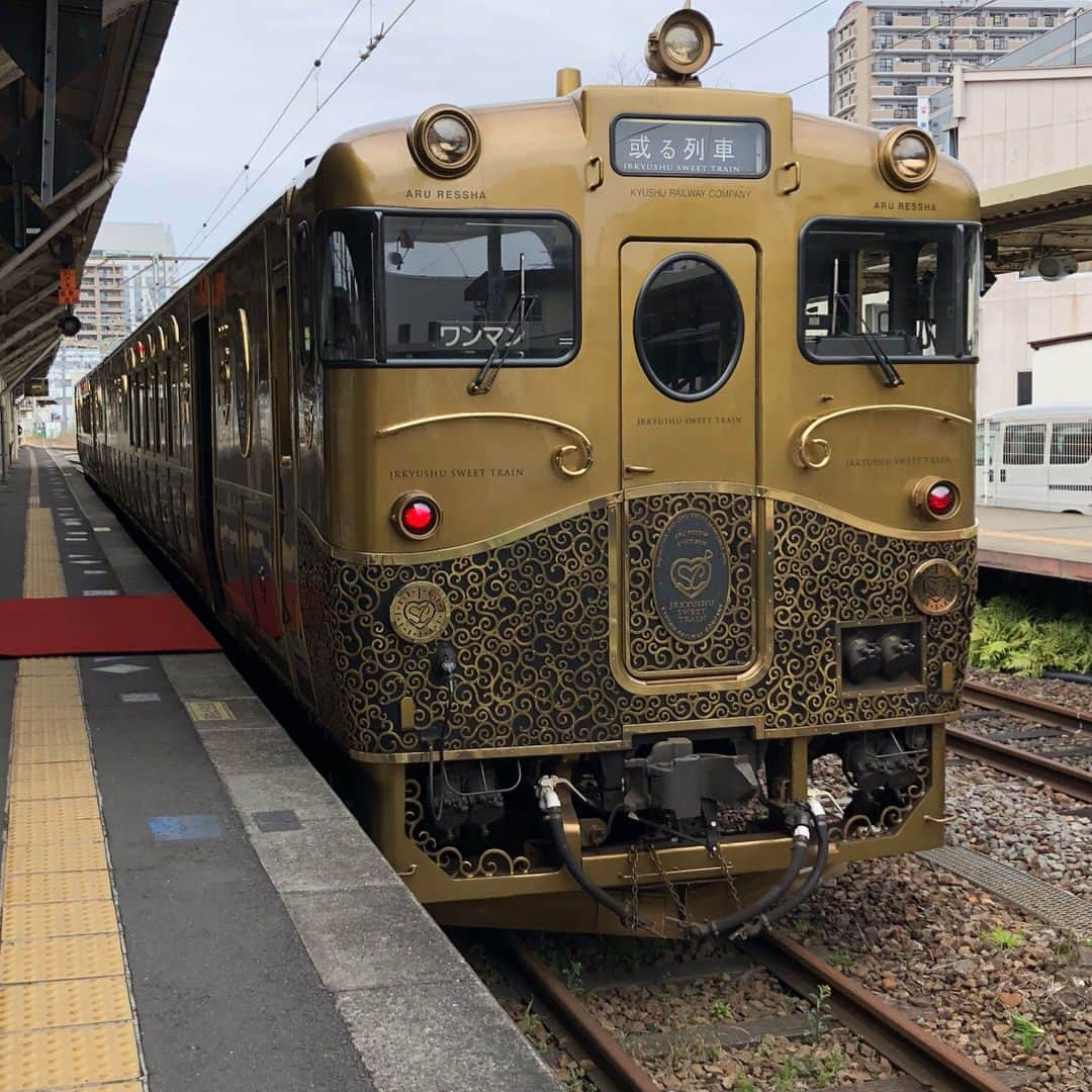 上野耕平さんのインスタグラム写真 - (上野耕平Instagram)「いよいよ明日！21時から！日テレ「笑神様」オンエア。念願の鉄道でのテレビ出演。しかもあの鉄道BIG4に出れるとは…。みんな絶対観てね！！ #上野耕平 #笑神様 #笑神様は突然に #日テレ #宮川大輔 #中川礼二 #吉川正洋 #南田裕介 #岡安章介 #松井玲奈 #広瀬アリス」4月3日 22時27分 - koheiueno_sax