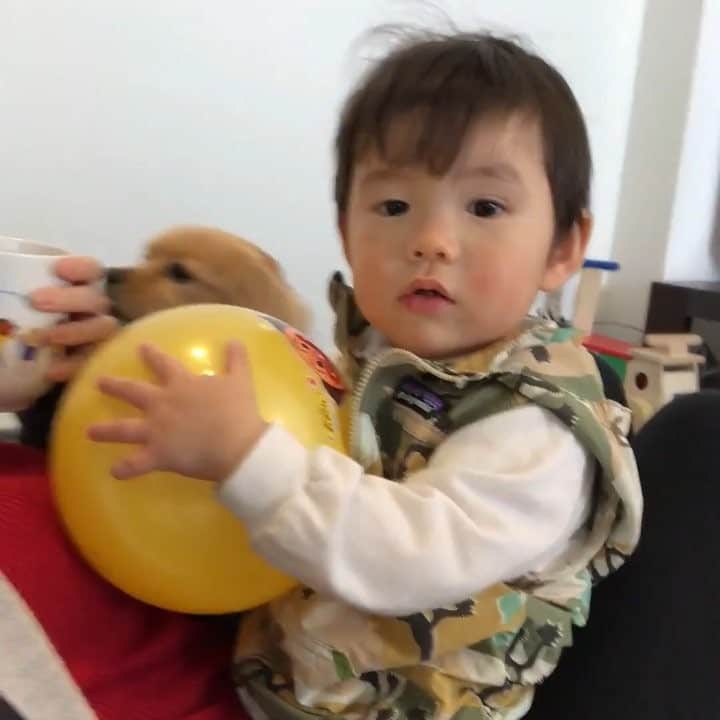 Akikoのインスタグラム
