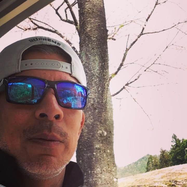 日比野玲のグルメインスタ