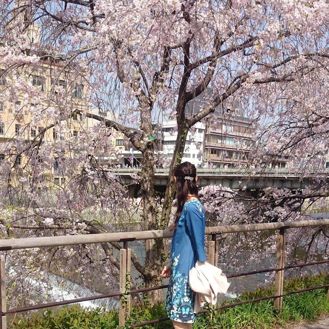 SunaUnaさんのインスタグラム写真 - (SunaUnaInstagram)「⭐️dresser style snap⭐️ 京都、鴨川沿いの桜。 ちょうど満開で綺麗でした🌸 シンプルなシルエットのプリントが春らしいワンピースでお花見に。 お出かけが気持ちのいい季節になりましたね😊 ＊京都高島屋では4月4日(水)～10日(火)の期間に衣料品引き取り「ワールドエコロモキャンペーン」を開催中です！ぜひお立ち寄りくださいませ＊  #sunauna #スーナウーナ #プリント #print #ワンピース #onepiece #ドレス #dress #chinoiserie  #シノワズリ #fashion #おしゃれ  #flower #花柄 #京都 #kyoto #鴨川 #お花見 #桜 #しだれ桜 #🌸 #京都高島屋 #京都タカシマヤ #エコロモキャンペーン #京都高島屋SunaUna #京都高島屋スーナウーナ」4月4日 18時07分 - sunauna.official