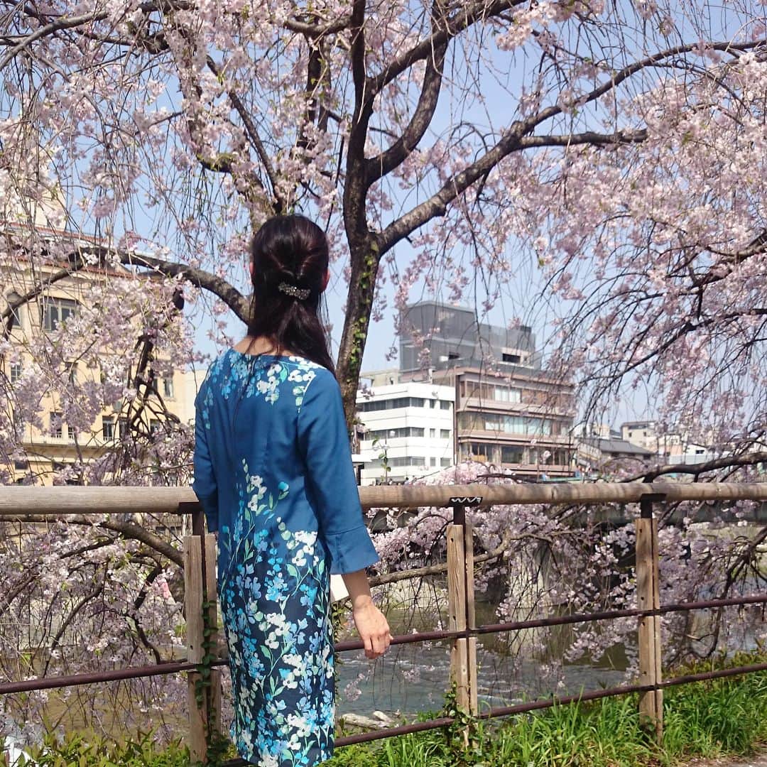 SunaUnaさんのインスタグラム写真 - (SunaUnaInstagram)「⭐️dresser style snap⭐️ 京都、鴨川沿いの桜。 ちょうど満開で綺麗でした🌸 シンプルなシルエットのプリントが春らしいワンピースでお花見に。 お出かけが気持ちのいい季節になりましたね😊 ＊京都高島屋では4月4日(水)～10日(火)の期間に衣料品引き取り「ワールドエコロモキャンペーン」を開催中です！ぜひお立ち寄りくださいませ＊  #sunauna #スーナウーナ #プリント #print #ワンピース #onepiece #ドレス #dress #chinoiserie  #シノワズリ #fashion #おしゃれ  #flower #花柄 #京都 #kyoto #鴨川 #お花見 #桜 #しだれ桜 #🌸 #京都高島屋 #京都タカシマヤ #エコロモキャンペーン #京都高島屋SunaUna #京都高島屋スーナウーナ」4月4日 18時07分 - sunauna.official