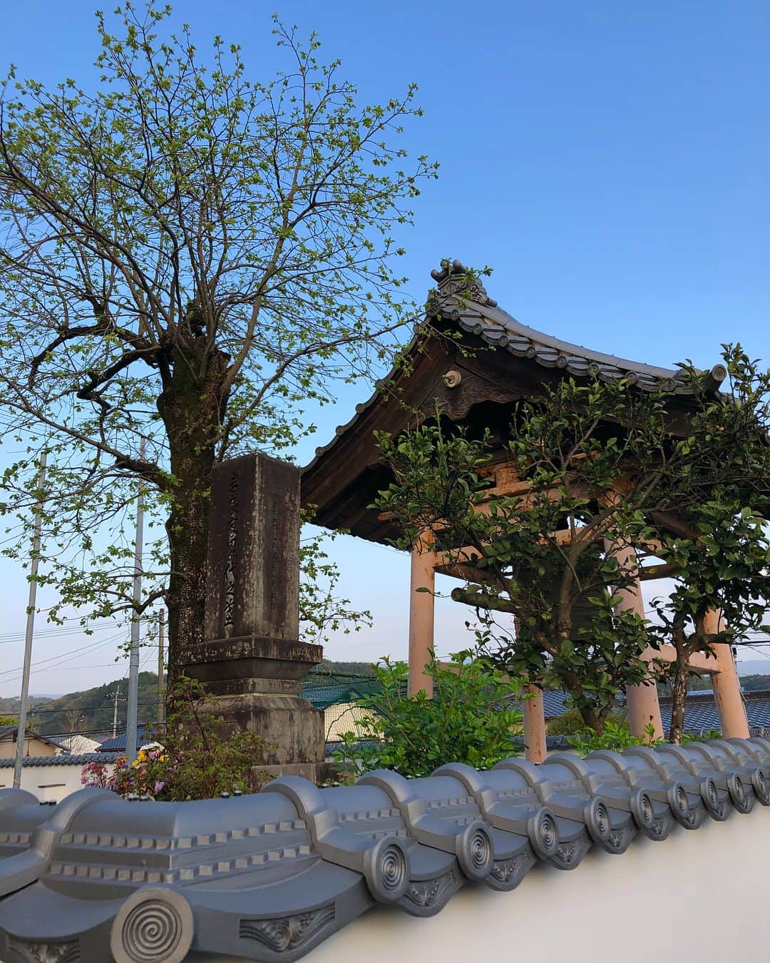 金成公信さんのインスタグラム写真 - (金成公信Instagram)「熊本県菊池市。水路水路水路。素晴らしい。素敵な街。水路の苔の発色を見れば一目瞭然ですね。住みたい。 #熊本県菊池市」4月4日 20時15分 - bonsai_chiba