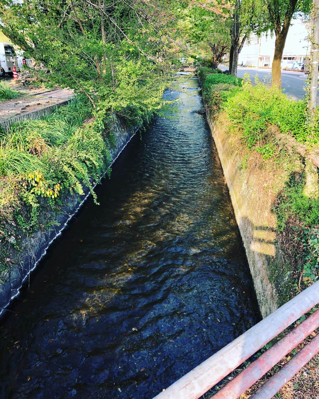 金成公信さんのインスタグラム写真 - (金成公信Instagram)「熊本県菊池市。水路水路水路。素晴らしい。素敵な街。水路の苔の発色を見れば一目瞭然ですね。住みたい。 #熊本県菊池市」4月4日 20時15分 - bonsai_chiba