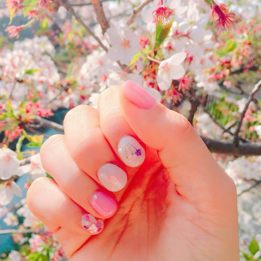 青木千春のインスタグラム：「- - - - - - - - -▷◁. ＊ ＊ ＊ ・ Nail💅✨ 気になってた押し花ネイル🌸 ・ Salonに行ってやってもらったのは初めてだったから 凄くお気に入りです.°ʚ(*´꒳`*)ɞ°. ・ ＊ ＊ ＊ ・ #nail #ネイル #押し花ネイル #spring  #春 #cherryblossom #桜 ・ - - - - - - - - -▷◁.｡」