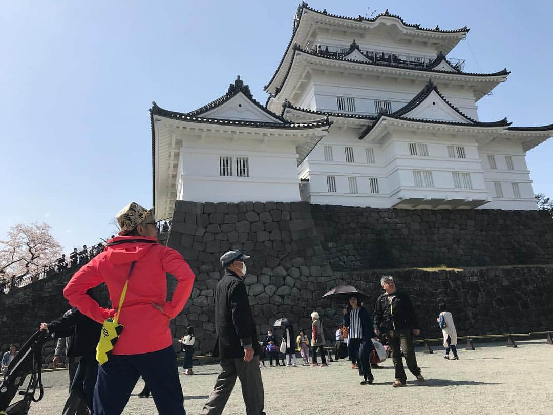 水道橋博士さんのインスタグラム写真 - (水道橋博士Instagram)4月4日 22時46分 - hakase0818