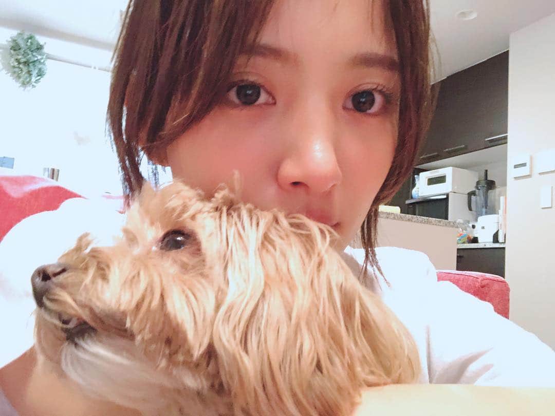 夏菜さんのインスタグラム写真 - (夏菜Instagram)「今日、蚊に6箇所もさされてました。 いつ刺されたんだろうか。 まだ４月も頭なのに...😩 かゆーーー みなさんもお気をつけて😢 #蚊#今年あったかいからな#気をつけてね」4月5日 20時21分 - natsuna_official