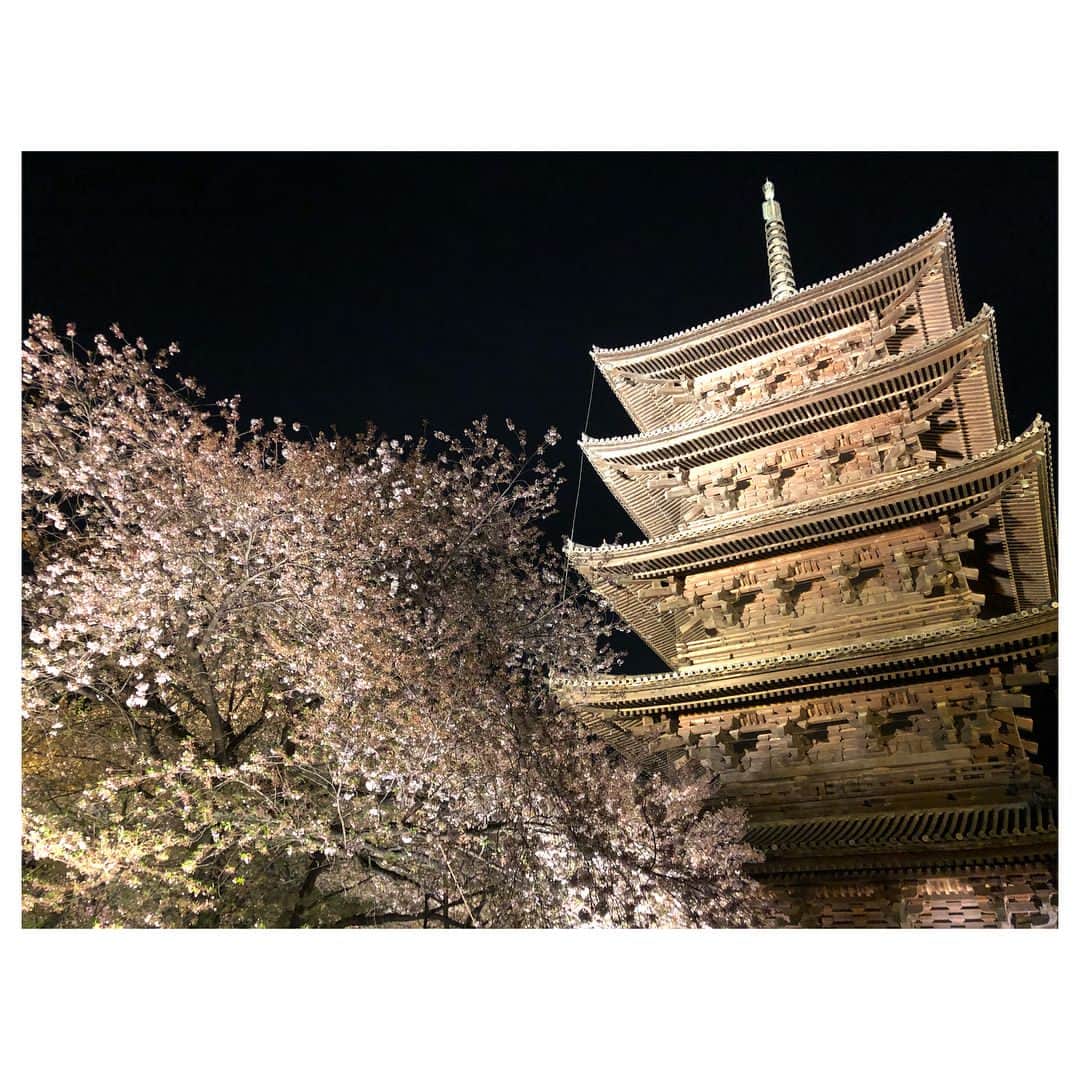 堤礼実さんのインスタグラム写真 - (堤礼実Instagram)「出張の際に少し時間があったのでぶらりと🌸 美しい…。 .  #京都 #東寺 #夜桜ライトアップ #とってもとっても綺麗だったので #今度は1人でなく誰かと一緒に行きたい」4月5日 13時08分 - reimi_tsutsumi1123