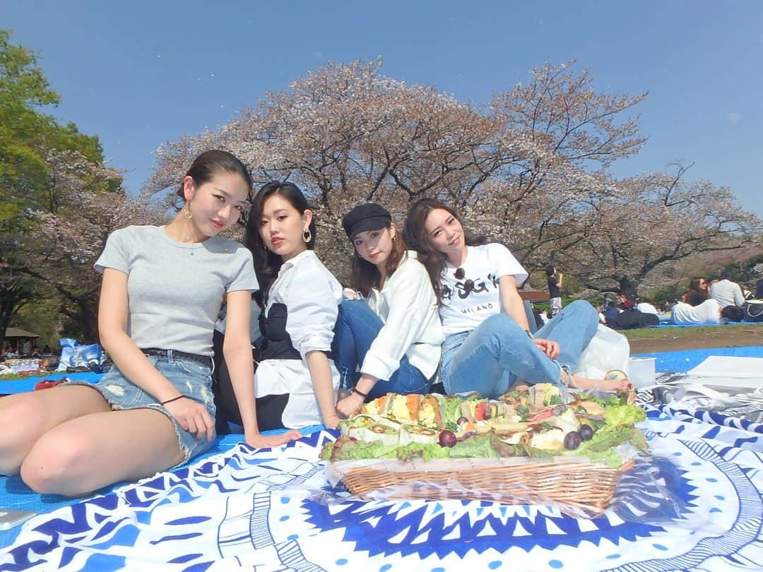 misaki saitoのインスタグラム：「EMODA fam🌸🌸 こないだのお花見ー🍡 今度はBBQ🍖💓 . #japan #girls #yoyogipark #dayoff #sun #day #time #cherryblossom #emoda #tokyo #shibuya #love #friend #team #happy #l4l #instagood #お花見 #🌸」