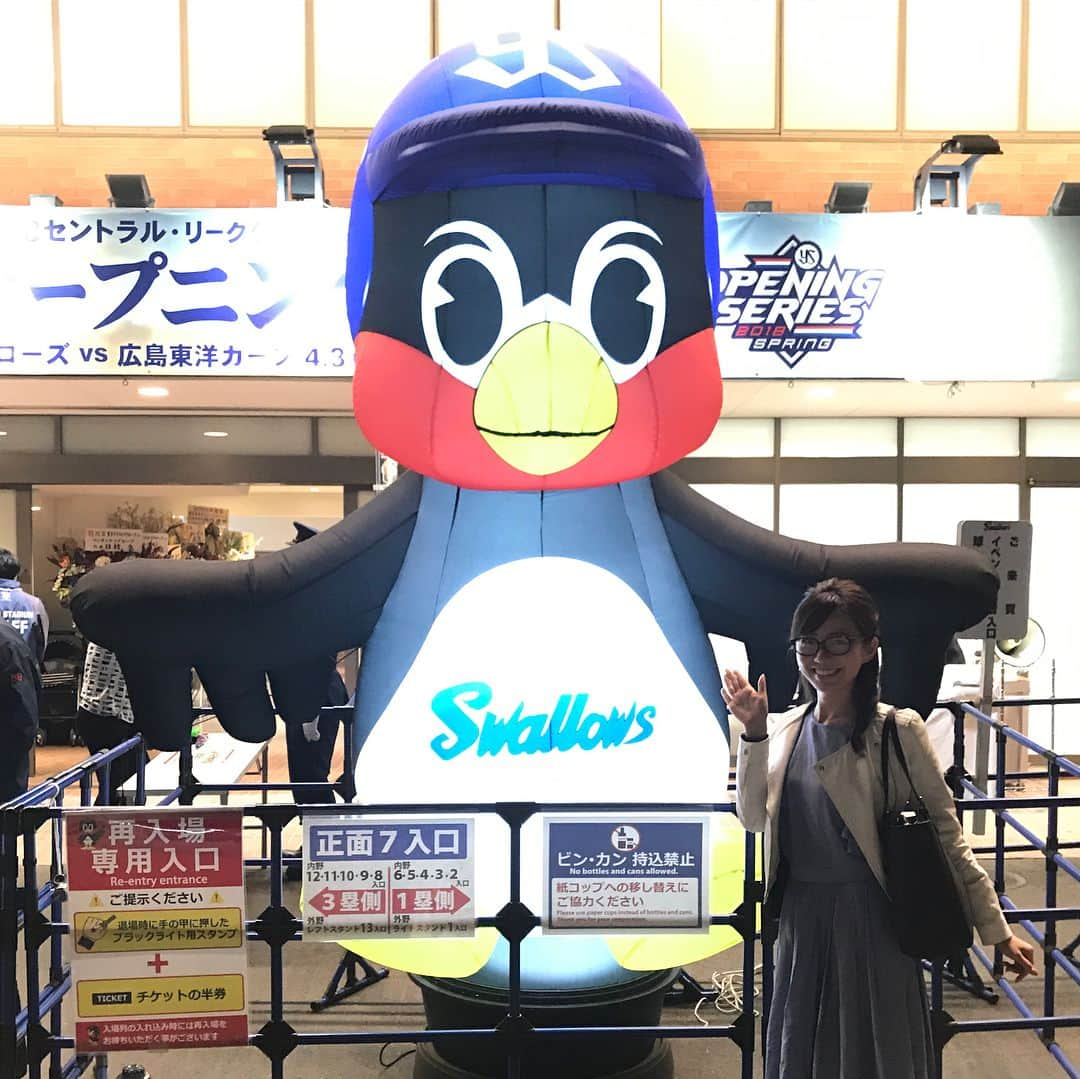 内田嶺衣奈さんのインスタグラム写真 - (内田嶺衣奈Instagram)「今シーズン、久々にCSプロ野球ニュースを担当させて頂くことになりました⚾︎ 担当曜日は木曜日です🤗 小澤アナと隔週で担当します！  昨日は今季初の神宮へ✨ ヤクルト対広島戦を観戦してきました！ ホームランが4本も〜！！ 目が離せない試合でした👀🔥 昨日はヤクルトが勝利し、たくさんの傘が元気に踊っていました☂️☂️☂️〃 ヤクルトの応援もカープの応援も、ファンの皆さんの熱気を肌で感じ、私も胸が高鳴りました！  果たして今日は…⭐️ #プロ野球 #神宮球場 #ヤクルト #カープ #つば九郎 #つばみちゃん #応援歌が覚えやすくてどちらの応援歌にもからだが揺れてしまう📣 #ただしリズム感がないのでだんだんズレていく…🙃」4月5日 14時40分 - reina.uchida