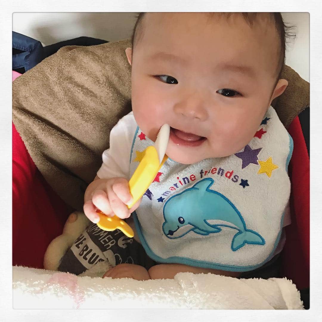 秋山莉奈さんのインスタグラム写真 - (秋山莉奈Instagram)「#甥っ子 #可愛過ぎる ♡ #バナナ #歯固め #エジソン #edison」4月5日 15時02分 - akiyama_rina