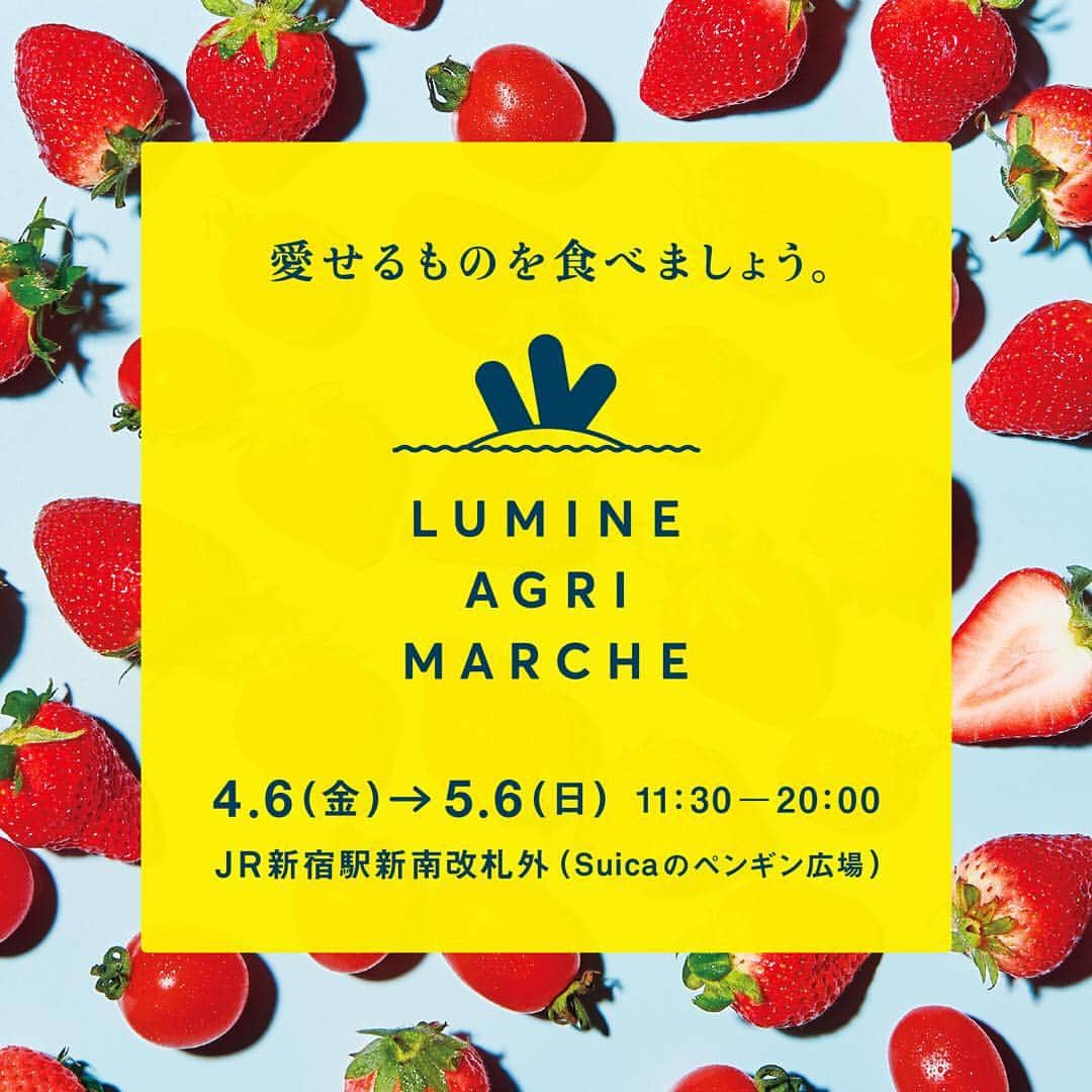 ルミネ公式のインスタグラム：「・ ・【LUMINE AGRI MARCHE】 2018.4.6(金）〜5.6（日）11:30〜20:00 ・ ・＠Suicaのペンギン広場 ・ 新宿駅徒歩0分の立地で、20時まで営業する、都会と畑を結ぶマルシェ「LUMINE AGRI　MARCHE」を開催。・ ・ ・ こだわりの野菜や果物と、グロッサリーを取り揃えて、みなさまの来場をお待ちしております。・ お仕事帰りや学校帰りにもぜひ立ち寄ってください。・ ・ また、ご来場のお客さまには「ONE LUMINE」で5,000マイルがもらえる、秘密の特典コードをプレゼントいたします。 期間中にぜひお越しくださいませ。・ ・ ※荒天や強風の場合中止する可能性があります。・ ・ #ルミネ#マルシェ#アグリ#新宿#農業#野菜#フルーツ」