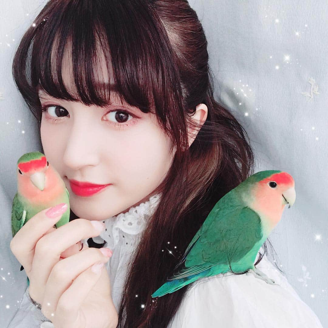 新希咲乃さんのインスタグラム写真 - (新希咲乃Instagram)「相棒🐤🐤 *  インスタちゃんにはあんまり、私の家族の鳥ちゃんを載せてないなぁー、、 * コザクラインコの左がてんてんと右がきゅーです。相棒です！！2人は仲悪いです（笑）なぞに でも近くにいつもいる🐢💭💭💭💭可愛いよねー！ * 鳥ちゃんストーリーには結構載せてるけどね！ Twitterにもかなり（笑） よかったら@niki_sakino ツイッターもフォローしてねん🤦🏻‍♀️💕本音のツイッター🌐 * #にゃんにゃんず #コザクラインコ #lovebird #lovebirds  #相棒 #仲良し #新希咲乃 #鳥好き #鳥好き代表 #になりたい」4月5日 17時48分 - niki_sakino