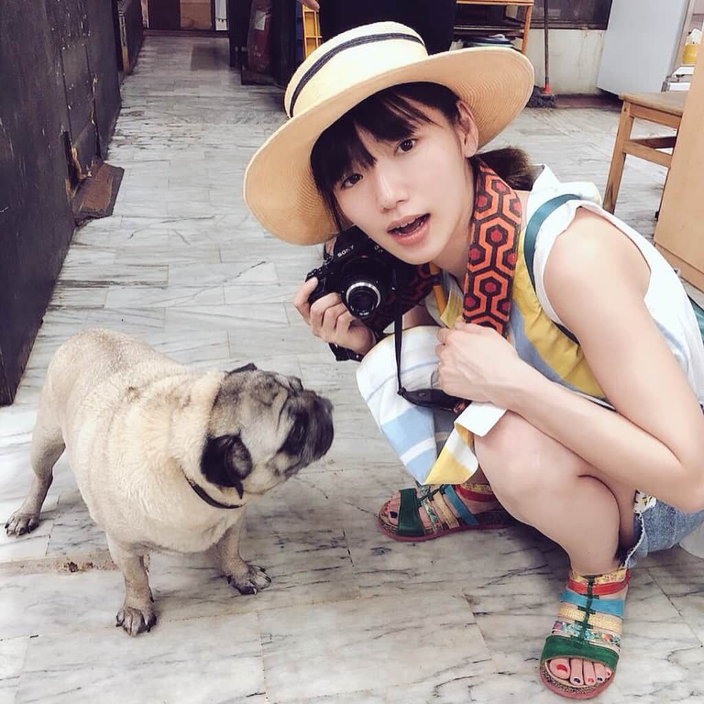 のインスタグラム：「Taipei pugs😍❤️ The dog was sooooo cute!  I went to a hot spring on the deep mountain yesterday. After that, we had lunch at a Taiwan ethnic restaurant.  Every meal was very delicious.  When I took a foot massage at the end of the day, I felt really cheered up😊❤️ 昨日は山奥の温泉に行って民族料理を食べ、地元のおばさま達とおしゃべりしながら身体中に泥を塗ったりして、充実した一日でした。 夜ご飯は麺線で、一日の締めは足ツボで完璧な旅です。  #台湾 #台北 #旅 #夫婦 #taipei  #taiwan #trip #me」