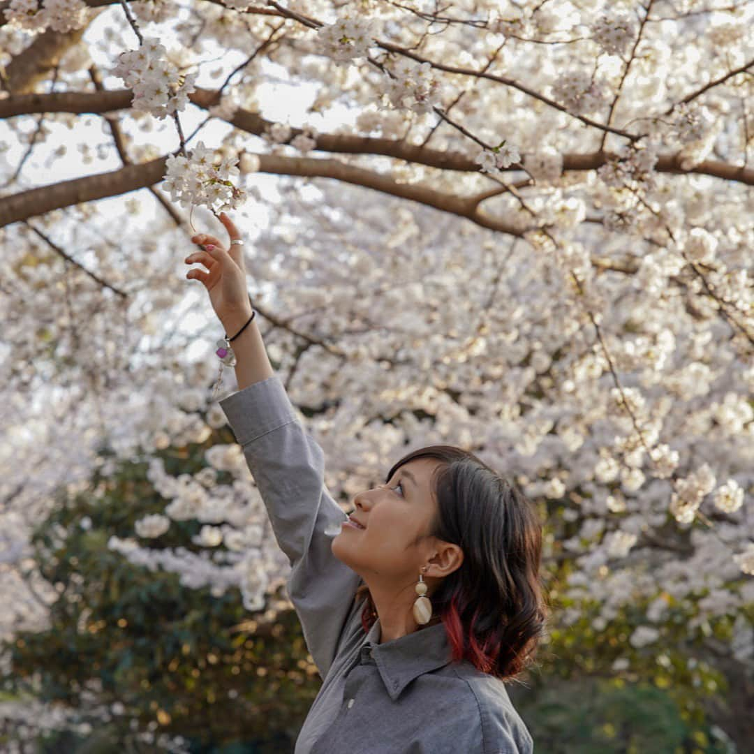 有安杏果さんのインスタグラム写真 - (有安杏果Instagram)「♪﻿ ﻿ 東京の桜﻿ もう散り始めてて﻿ あっという間でした…🍃🌸﻿ ﻿ #有安杏果﻿ ﻿ #東京の桜﻿ #公園﻿ #滑り台﻿ #ブランコ﻿ #カメラ﻿ #写真﻿ #幸せな日々」4月6日 15時16分 - ariyasu_momoka_official