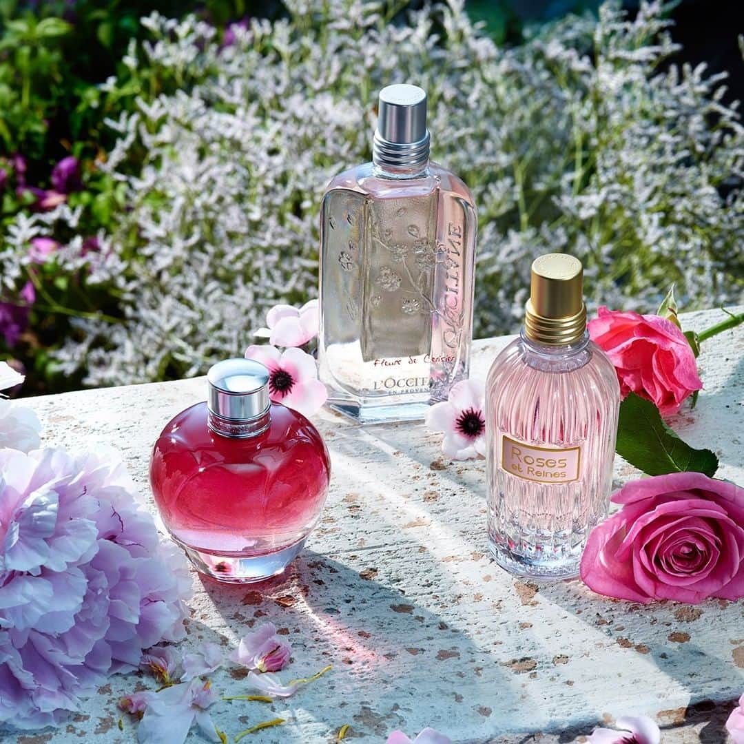 L'OCCITANE en Provenceさんのインスタグラム写真 - (L'OCCITANE en ProvenceInstagram)「季節や気分に合わせて香りをチェンジしてはいかが？💗 花々の華やぎが香りたつ #フレグランス で、春の香りを楽しんでくださいね💐 ・ ・ #Cherryblossom #チェリーブロッサム #Peony #ピオニー #Rose #ローズ #オードトワレ #はじまりの季節 #🌸 #Pink #ピンク #ピンクボトル #LOccitane #ロクシタン #LOccitane_jp #Japan」4月6日 12時00分 - loccitane_jp