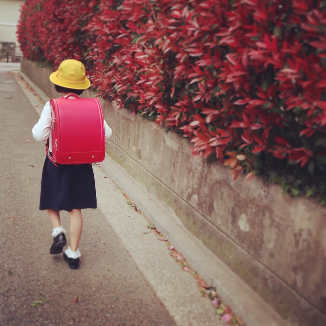 石川直宏さんのインスタグラム写真 - (石川直宏Instagram)「カノンも待ちに待っていた入学式。迎えてくれた在校生や先生方と接してみて、学校の良い雰囲気を感じました♪ 毎日元気に、皆と仲良く楽しんで通ってくれたらいいな🎒✨ #入学式 #ピカピカの一年生 #ドッキドキドン一年生 #ランドセル #長女 #姉妹 #成長」4月6日 15時25分 - sgss.18