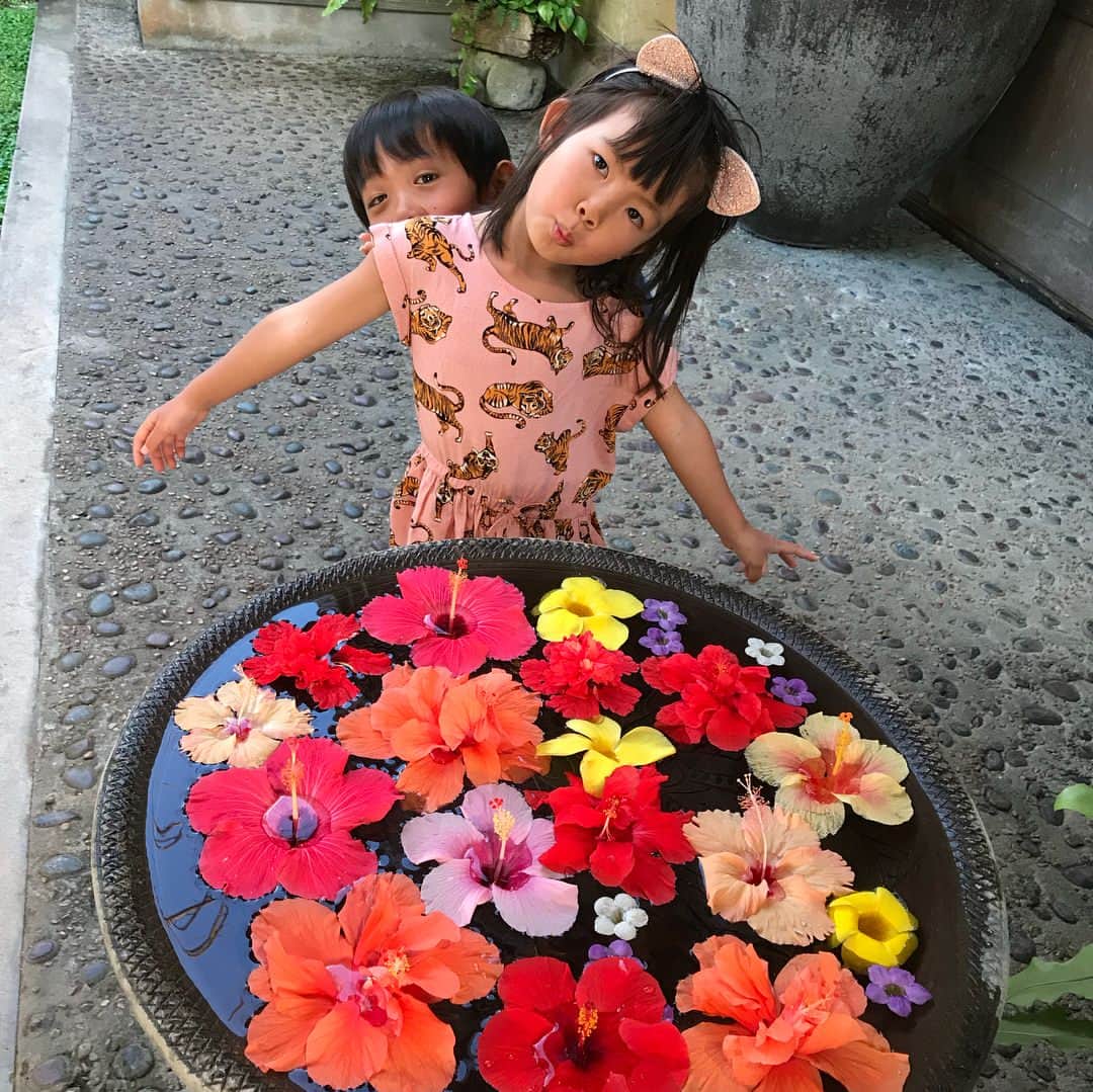 甘糟記子さんのインスタグラム写真 - (甘糟記子Instagram)「石垣島3日目の夕飯は、古民家のご飯やさん、舟蔵の里へ！  あっちゃんのおススメ！  広い敷地にステキな古民家の母屋や、カフェやギャラリー、広場にステージがあって、なんだか不思議な空間(๑˃̵ᴗ˂̵) マグロの漁獲量も多いので、やっぱりマグロも美味しい！ あとは素麺を炒めたシンプルな料理や、石垣牛のすき焼き、オリオンビールのアルコールフリーもあったよ（笑） 美味しかったな〜！ 最後まで石垣を満喫できて、楽しい夜になりました☆*:.｡. o(≧▽≦)o .｡.:*☆ #舟蔵の里#石垣島#旅行#家族旅行#春休み#姫#息子殿姫#息子殿#沖縄料理」4月6日 15時47分 - norihey924