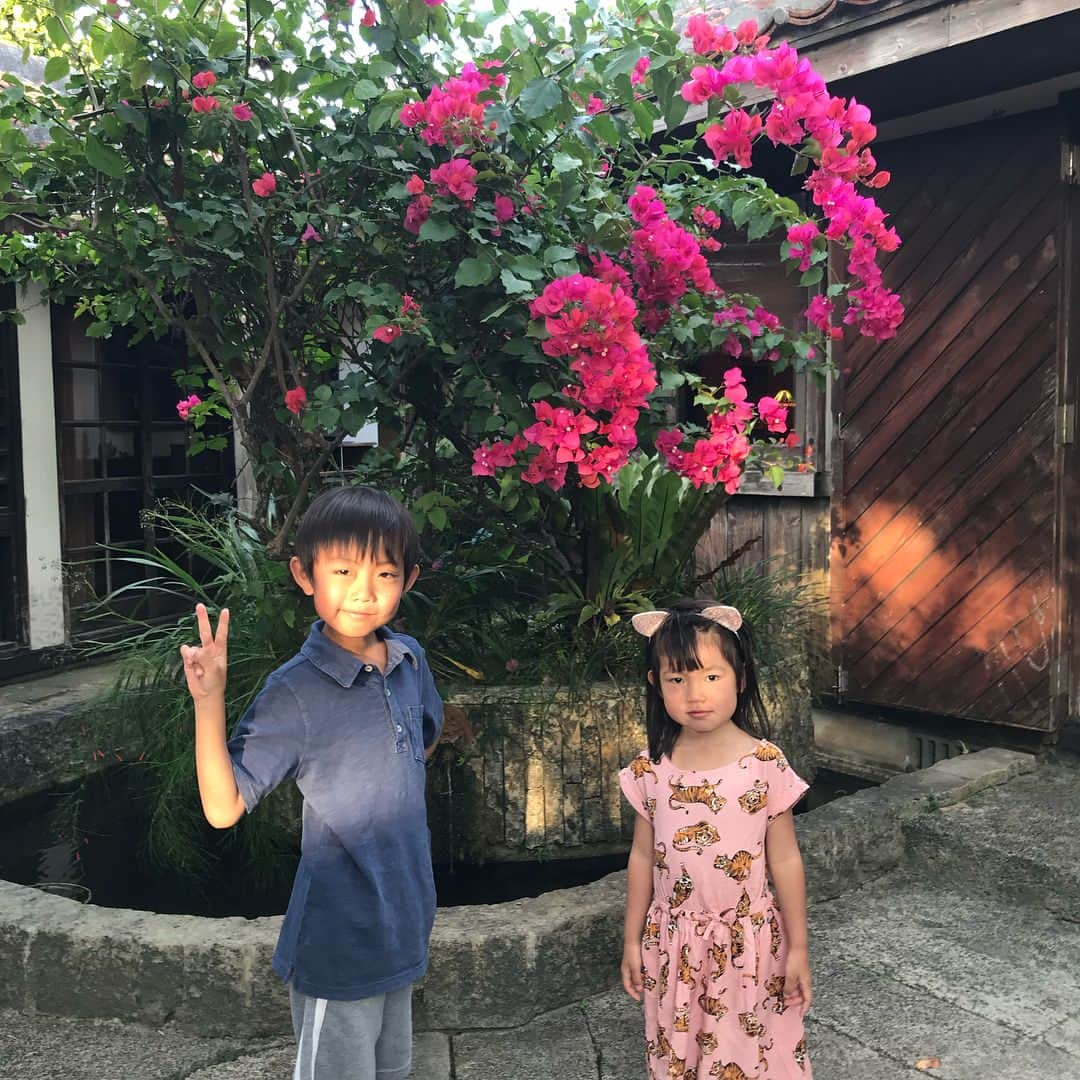 甘糟記子さんのインスタグラム写真 - (甘糟記子Instagram)「石垣島3日目の夕飯は、古民家のご飯やさん、舟蔵の里へ！  あっちゃんのおススメ！  広い敷地にステキな古民家の母屋や、カフェやギャラリー、広場にステージがあって、なんだか不思議な空間(๑˃̵ᴗ˂̵) マグロの漁獲量も多いので、やっぱりマグロも美味しい！ あとは素麺を炒めたシンプルな料理や、石垣牛のすき焼き、オリオンビールのアルコールフリーもあったよ（笑） 美味しかったな〜！ 最後まで石垣を満喫できて、楽しい夜になりました☆*:.｡. o(≧▽≦)o .｡.:*☆ #舟蔵の里#石垣島#旅行#家族旅行#春休み#姫#息子殿姫#息子殿#沖縄料理」4月6日 15時47分 - norihey924