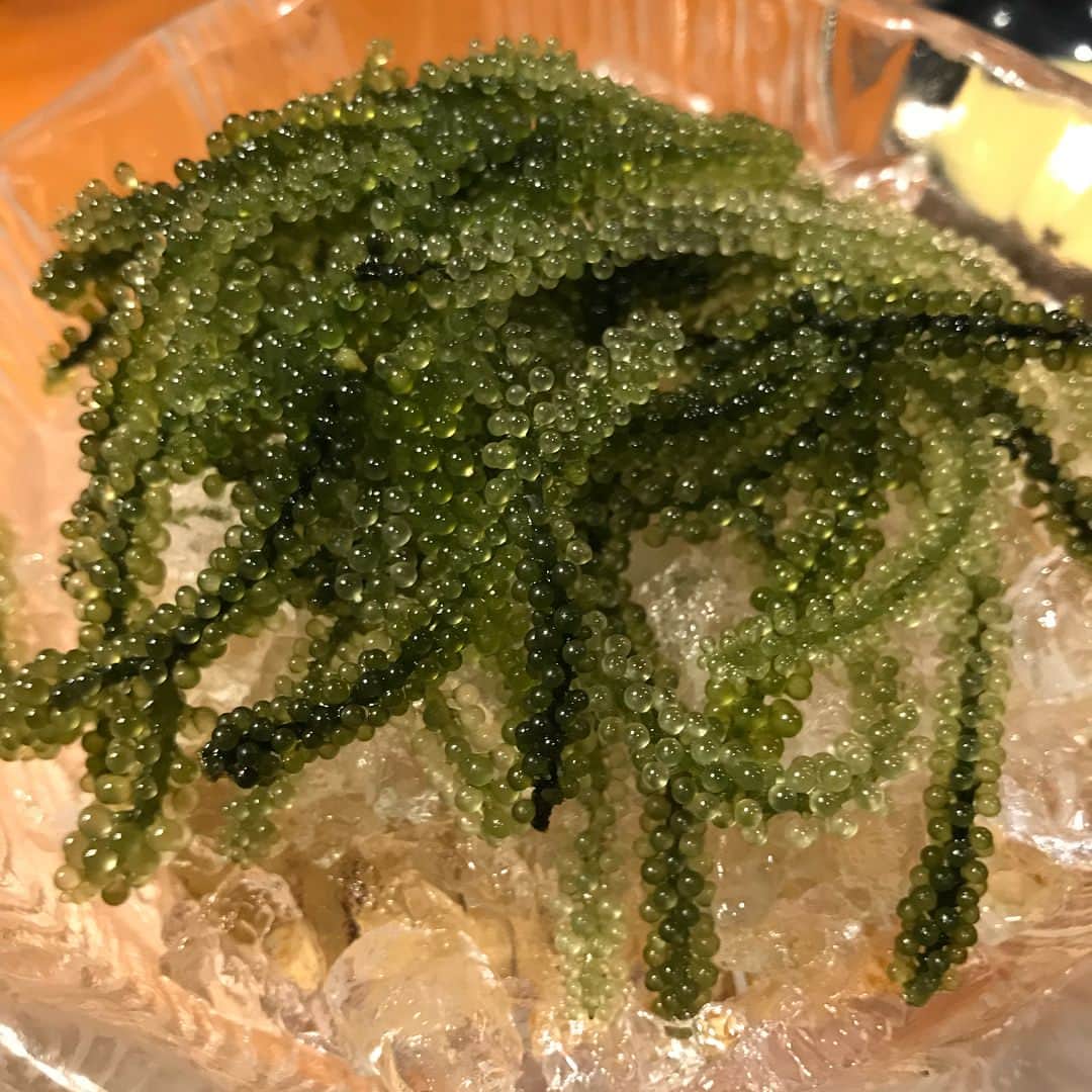 甘糟記子さんのインスタグラム写真 - (甘糟記子Instagram)「石垣島3日目の夕飯は、古民家のご飯やさん、舟蔵の里へ！  あっちゃんのおススメ！  広い敷地にステキな古民家の母屋や、カフェやギャラリー、広場にステージがあって、なんだか不思議な空間(๑˃̵ᴗ˂̵) マグロの漁獲量も多いので、やっぱりマグロも美味しい！ あとは素麺を炒めたシンプルな料理や、石垣牛のすき焼き、オリオンビールのアルコールフリーもあったよ（笑） 美味しかったな〜！ 最後まで石垣を満喫できて、楽しい夜になりました☆*:.｡. o(≧▽≦)o .｡.:*☆ #舟蔵の里#石垣島#旅行#家族旅行#春休み#姫#息子殿姫#息子殿#沖縄料理」4月6日 15時47分 - norihey924