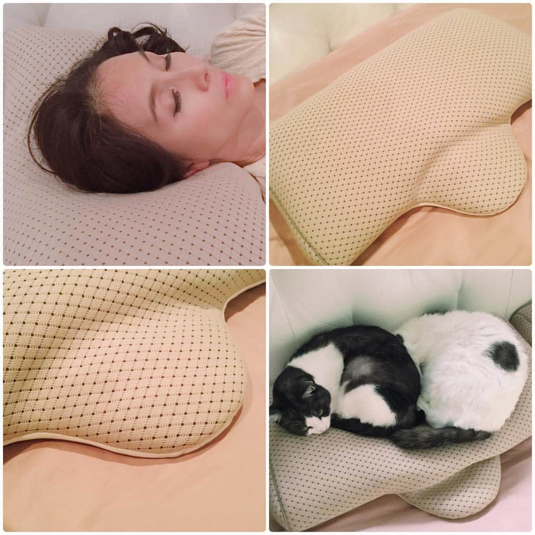 杉本彩さんのインスタグラム写真 - (杉本彩Instagram)「寝心地いい〜✨ 頚椎が自然なS字カーブに戻るのをサポートしてくれる枕❗️ 枕と首の間にも隙間ができないし、この形状よく考えられてるなって思う。 やっぱり気持ちいい場所を猫はよく知ってます😅 https://shop.salaf.jp/user_data/stylepit.php  #公大  #枕  #スタイルピット #おもてなしねむり研究所 #健康  #肩こり  #ボディスタイル正常化枕  #健康グッズ  #美容グッズ #STYLEPIT  #接骨院  #STYLE #PILLOW  #寝姿勢 #ksgroup」4月6日 16時31分 - sugimoto_aya0719