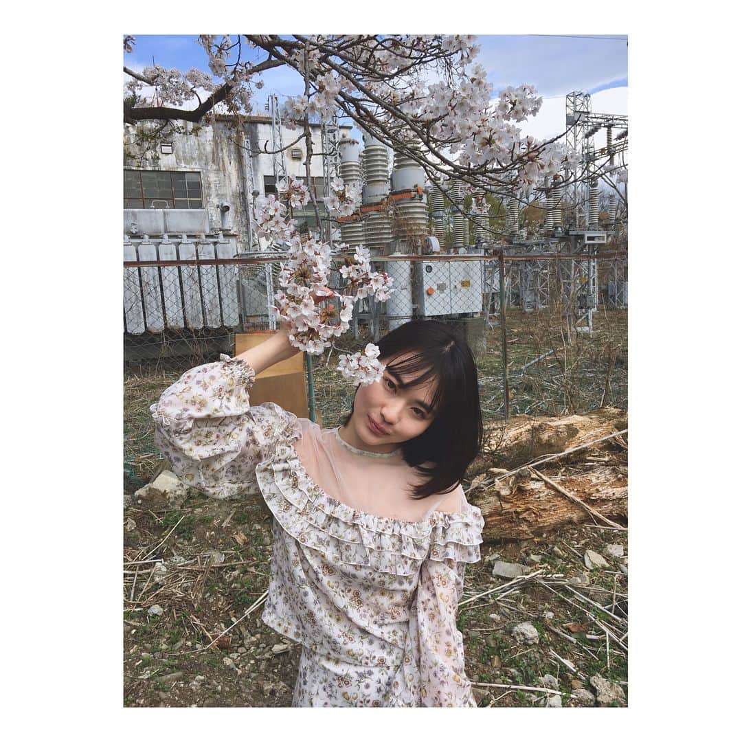 山田杏奈さんのインスタグラム写真 - (山田杏奈Instagram)「桜がまだ残ってました〜 みなさんはお花見しましたか？🌸」4月6日 19時27分 - anna_yamada_