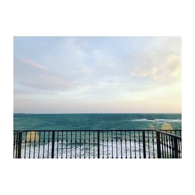 秋元玲奈さんのインスタグラム写真 - (秋元玲奈Instagram)「海を見にやってきました🌊☺️ #週末プチ遠出 #強風にあおられながら #海を視覚で満喫 #葉山 #逗子 #海好き家族」4月7日 19時55分 - rena_akimoto