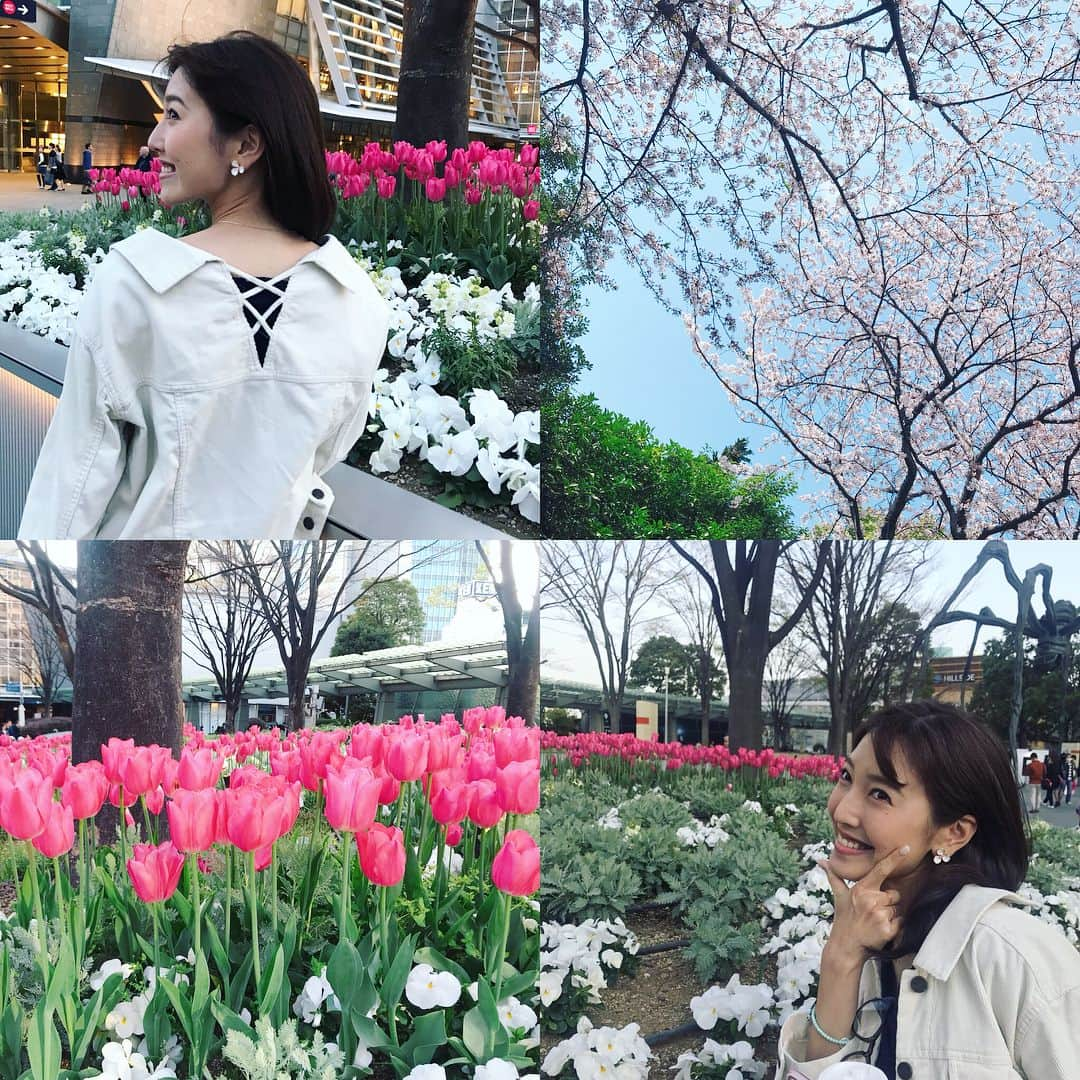 小澤陽子さんのインスタグラム写真 - (小澤陽子Instagram)「at work☻ * 🌸🌸2018年、今年の桜🌸🌸 今年は早かったですね〜😳 今年も綺麗でした(*´꒳`*)ʚ♥⃛ɞ * * 💡桜といえば〜〜… #といえば解説 #DNN 明日はいよいよ…‼️ ３歳世代の三冠レース、開幕戦！桜花賞です〜〜🌸✨ ワクワクが止まらない。 * *  取材情報満載の『よーこそ！KEIBA』ブログもUPしたので、よかったら見てください🏇♪ ネイルも、毎年恒例の桜花賞仕様で、準備万端です☺️🌸🌸 * * #桜コレクション #cherryblossoms #桜ときどきチューリップ🌷 #れいなさんとも見に行きました☺️💓 #今流行りのオフショルジャケット #私服 #ファッション #fashion #アナウンサー #アナウンサーファッション #おざよーfashion👗 #毎年入社式に合わせて飾られる社内の桜 #今年は美術の同期が担当したそう❀  #桜花賞 #３歳の女の子三冠レース👑初戦」4月7日 20時06分 - yoko.ozawa729