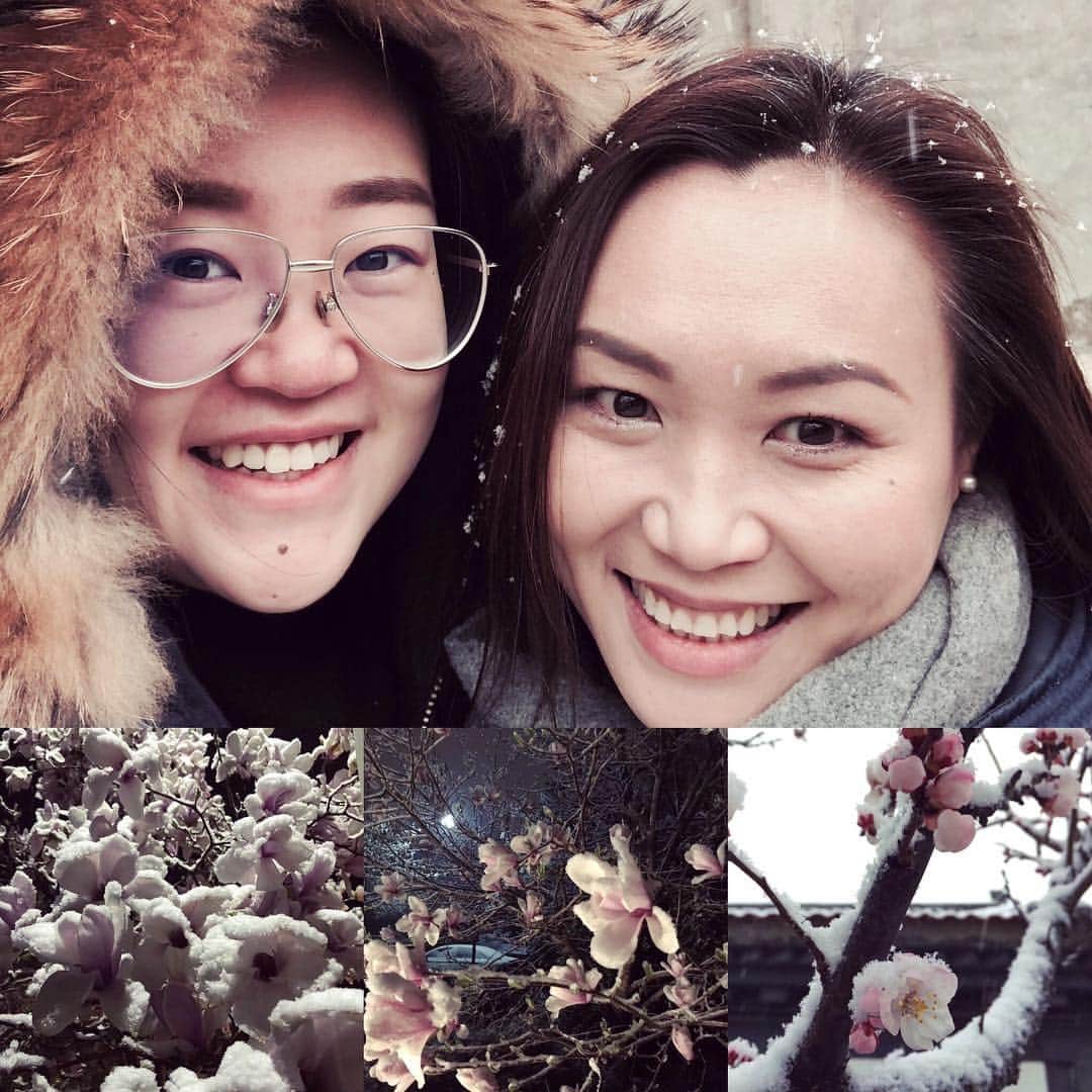 陳露のインスタグラム：「April snow ❄️ in Beijing」