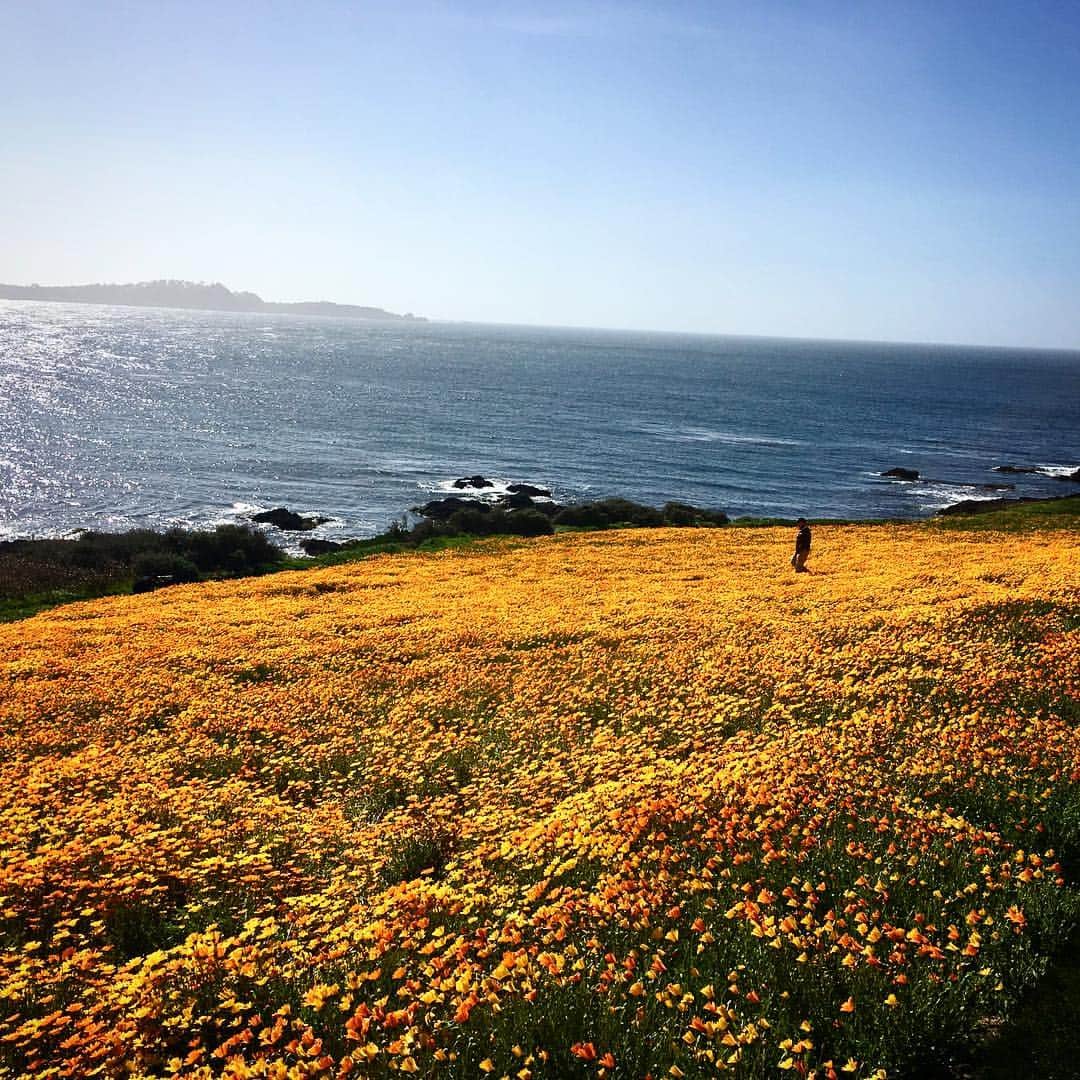 ケリー・ローバッハのインスタグラム：「🌻🌻🌻」