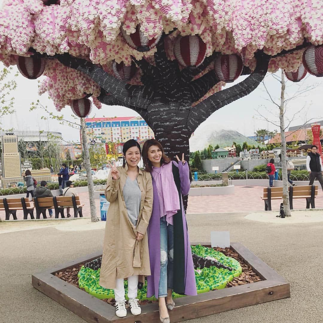 suika0601のインスタグラム：「LEGOで出来たさくら🌸🌸🌸遠くから見ると本物かと思ったよ✨✨✨ #legoland #legobricks #cherryblossom #レゴランド #名古屋」