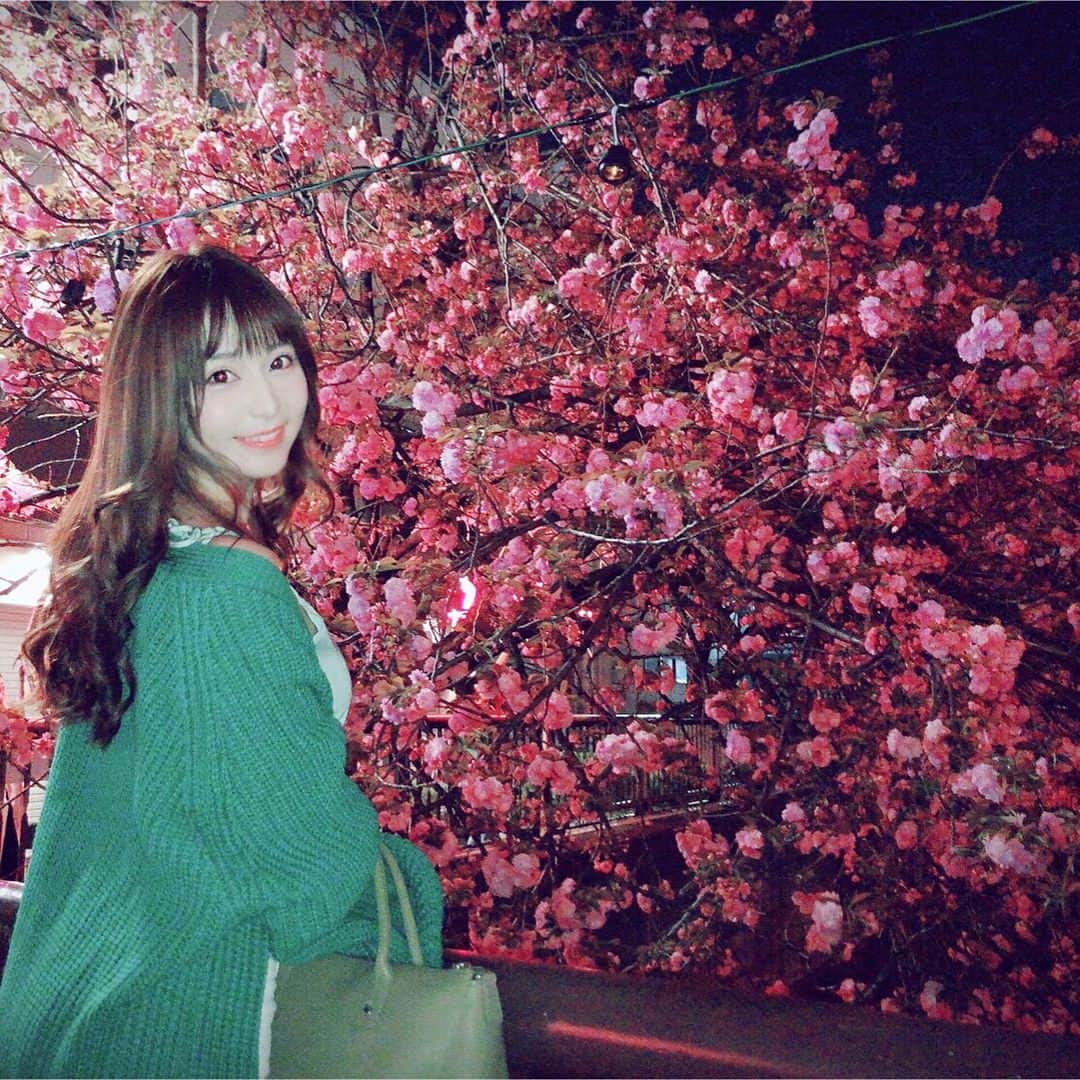 堀尾実咲のインスタグラム：「🌸 #portrait #お花見 #目黒川 #夜桜 #tokyo #nakameguro」