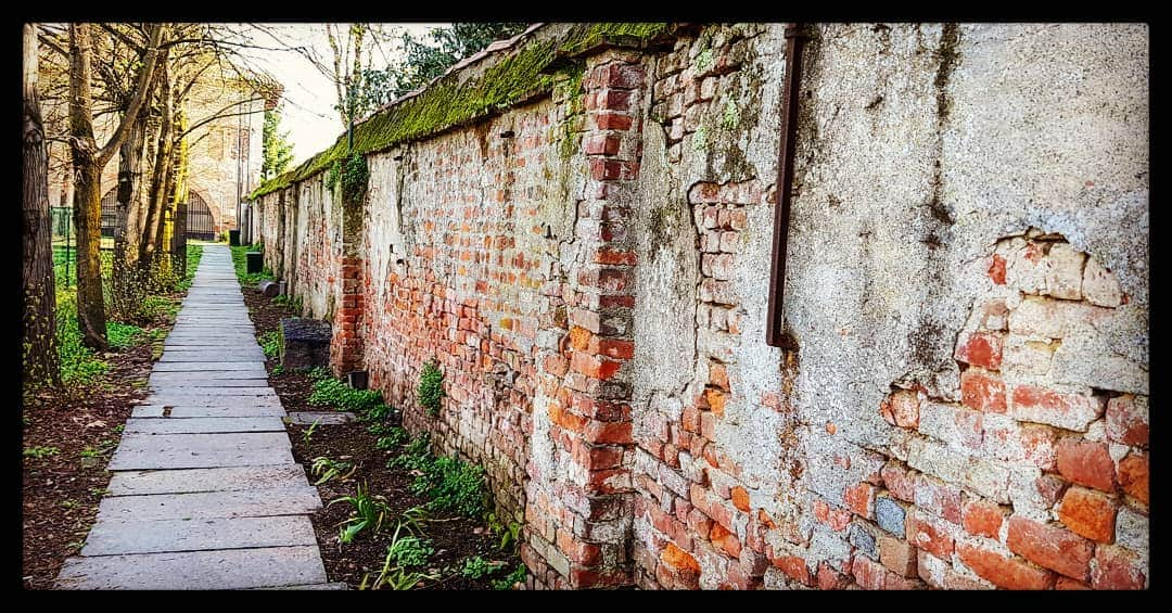 Lu Lanotteのインスタグラム：「New paths . . . . . #chiaravalleabbey #chiaravalle #family #familytime #sun #path  #green #nature #lanotte #photography #milano #italy #newlife」