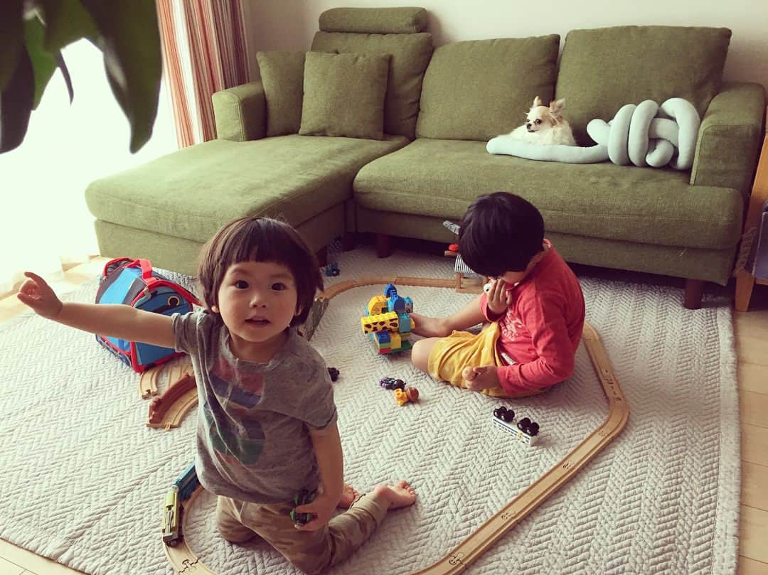 むらたさきさんのインスタグラム写真 - (むらたさきInstagram)「♡♡ ． この前ストーリーに載せたラグ、 やっとこさ敷けた🙌☺️✨ (次男が毎日何かしらこぼすので渋っとった←😂) ． ． 涼しくて肌ざわりも気持ちいい〜👏😍♡♡ 色はライトグレー🎨 ． わが家は細かいジグザグにしたけれど、 もっと太いジグザグや ボックスタイプのデザインもありました🙌☺️ ． ラグ＆ソファのクッションは @lifeisatrip_official さんのもの💫 ． ． ． 兄は3歳くらいまで 電車命！の熱狂的な子鉄やったのに対し、 ． 次男はまだこれといった好きなものはなく🤔 (トトロにんぎょうくらい☺️？) ． 昨日は兄が線路を組んでくれて はじめて線路の上で電車を走らせた次男🚃✨ ． ． 脱線して、怒って大暴れ…😂😂笑 (☞ 3.4枚目) 兄になぐさめられ、気を取り直して復活🤣♡ (☞ 5.6枚目) ． #2歳まであと8日 惜しみない#イヤイヤ期 発揮中😂 ． ． ． 兄はニヤニヤして 「上は赤、下は黄色の半ズボンがいい！」 とクレヨンしんちゃんと同じ洋服を選んどった🙌🤣 ↑ ちなみに今日もしんちゃんコーデ😂 黄短パンがなくて長いので妥協してくれたけど👖😂 ． ． ． ． ． #20180408  #4歳10ヶ月 #1歳11ヶ月 🐶#7歳 #兄ちゃんとおとうと #チワワ #こどもと暮らす」4月9日 17時41分 - muratasaki