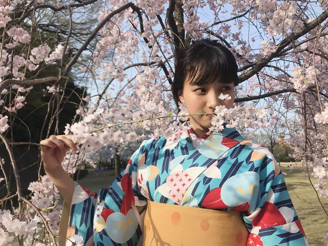坂ノ上茜さんのインスタグラム写真 - (坂ノ上茜Instagram)「. 先日、卒業旅行で石川県の金沢へ行ってきました〜！ この間のまじ卍な写真だけでも気づいた人がちらほらいました！笑 本当にお寺がたくさんあって風情溢れる素敵な街☺️ しかも金沢の桜は東京と比べて満開になるのが少し遅めで、ちょうど見頃な時に行けてラッキーでしたっ #石川 #金沢 #🌸」4月9日 13時58分 - sakanoueakane