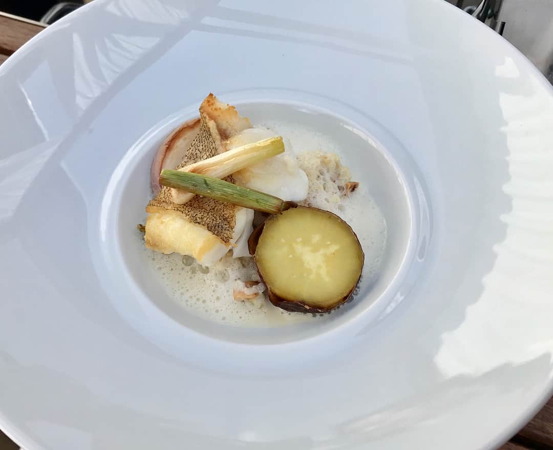 高松いくさんのインスタグラム写真 - (高松いくInstagram)「最高のお天気でした！ 最高のお料理でした！ 青空の下、優しい風が吹くなか、『snow peak glamping×iku aoyama ×ikuがお贈りする〜glamping lunch yoga〜』 Ikuさん達と、Ikuさんじゃないお客様にご参加頂きました！← わざわざお仕事をお休みして来てくださったり、地方から来て下さったり、いつも支えて下さったり、イベントに初めて参加でドキドキ参加してくださったりと、お一人お一人に、心より大声で感謝をもう一度！！この場をおかりして！！ 「ほんっっっっっっっとうに、ありがとうございました！！！」 さいっっこうに嬉しすぎました！！ みんな温かかったな〜お天気に負けないぐらい❤️ 美味しいお料理を召し上がって頂く為の『チェアヨガ』 皆さんが空の下気持ちよさそうに、眩しそうに、伸びて解放されたところに、美味しいお食事が口に入ると、キラキラ🤩「美味しい！！」っと、笑顔になって下さった姿、皆様の出会いの場所となり、繋がって下さる事、またここに来たいと思って下さったお気持ち、これがしたかった。最高に嬉しいです。 どうか、どうか今日召し上がって頂いた、お食事が、皆様の明日をも快適に、優しく肉となり血となり、栄養となり消化を助けるヨガとお食事でありますように。そう心の底から願ってやみません。  @iku_aoyama 『iku』の名前が付いた、レストラン。 「え！！？？」っと、HPを拝見させていただくと、、 http://www.iku-aoyama.com/shop-list/glamping/ 是非ともここでヨガをさせて頂き、みんなに知って頂きたい！！っと、ワクワク✨ ここで、健康に美味しいヨガとお食事のイベントを、ikuがやらなくて誰がやる！ っと、お電話をさせて頂きました。 直接お話をさせて頂きました、総支配人の牛之濱様、店長の太刀様に、この時から、今日まで、本当に沢山の温かいサポートを頂き、今日実現することが出来ました。 ありがとうござます！！ そして当日も、美味しいお料理作ってくださったシェフ、子守りと、お食事のご説明と、メニュー作成まで、全てのお心遣いを下さいましたスタッフの皆様に感謝致します。 言葉では言い表しきれません。  腸を整え、臓器周りの圧迫を解放、正しい姿勢で美味しいお食事の準備の出来上がり！ あとは、シェフにバトンタッチ👨‍🍳お料理の効果やご説明を して頂き、 お陰様で、お食事も効果的に、安心して体の中に美味しくおさめつことが出来ました。  ぜひ！！ こちらのお店のお食事を、召し上がって頂きたい！ 安全で優しく美味しいお料理を、一緒にご提供させて頂きたいと思います！ 日本ならではの四季「春」「夏」「秋」「冬」っと、旬の食材とヨガを準備致しますので、また次回は「夏」に！！ ぜひご参加をお待ちしております！！ お子様連れももちろん大歓迎👍 みんなでピクニックしましょヽ(´▽｀)/❤️ 夏は、夜の『星空ヨガ』も良いな〜✨⭐️ 本当に、ありがとうございました！！ @iku_aoyama  @snowpeakglamping.inc  @axfhawaii  @sup.yoga.19  #iku #snowpeakglamping #snowpeak #glamping #lunch #yoga #chair #chairyoga #ヨガ #チェアヨガ #レストラン #ヨガ ＃青空 #屋上 #いく #いっぱい #出逢い #感謝 #繋がり #広がり ＃イベント #青山 #aoyama #tokyo #東京 ＃日本 #japan #ガストロノミー #身体も心も癒される #食事 #料理」4月9日 19時00分 - iku_takamatsu_trip_sup_yoga