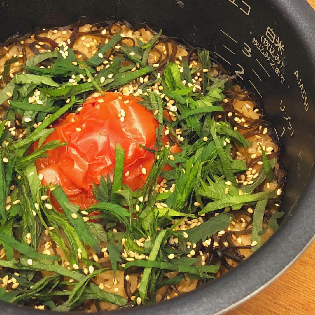 クドのインスタグラム：「🍅ジェニックご飯🍅 今週末のライブで作ります🐖 #トマト #トマトご飯 #🍅」