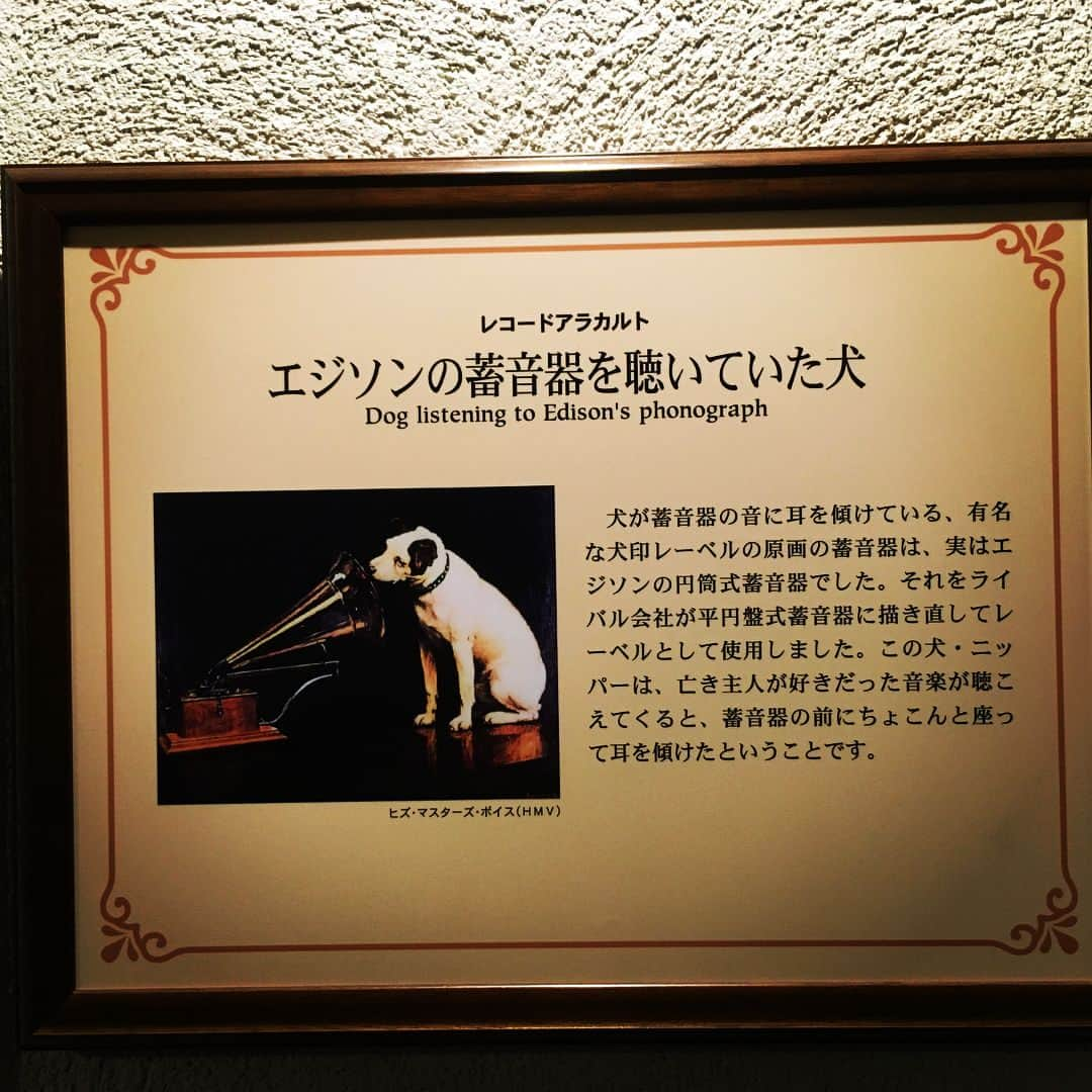 上野樹里さんのインスタグラム写真 - (上野樹里Instagram)「金沢蓄音器館🏰 ニッパー（Victorの 犬）がなぜ首を傾げているのか知っていますか？エピソードを聞いて感動しました。😢 HMV. His Masters Voice. 亡きご主人の声が蓄音機から聞こえてきた時に、犬が首を傾げていたのを見て、胸を痛めた有名な画家が、絵に起こしたそうです。 ソニー創業者の盛田さんが使用されていた蓄音器が、電話帳の紙で出来ていること、そしてノイズがなく、バンドがそこにいるかのようで、スピーカー📣の部分をどこに向けるかで色んな変化があって、とても素敵でした✨ 10機、聞き比べをして全て違う。とても楽しかった😌 四角いロゴはイギリス製の証だそうです。  金沢に旅をしたら皆さんも是非訪れてみては…🎵 #蓄音機 #金沢」4月9日 20時59分 - _juri_art_