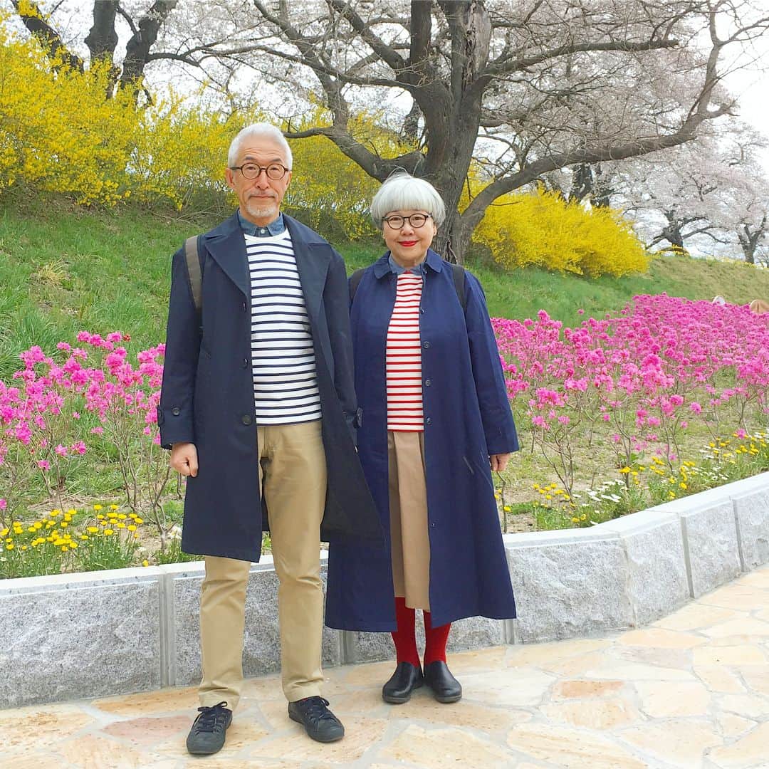 bon ponさんのインスタグラム写真 - (bon ponInstagram)「宮城県柴田郡大河原町の一目千本桜を観に行きました。 風が強くて寒かったけれど、見頃に間に合って良かったです。動画は電車の車窓から🌸🌸🌸 bon ・コート(GU) ・ボーダーTシャツ(UNIQLO) ・シャツ(UNIQLO) ・パンツ(UNIQLO) pon ・コート(ヤフオク) ・ボーダーTシャツ(UNIQLO) ・ブラウス(SM2) ・スカート(UNIQLO) ponのコートはヤフオクで落札した学生用のスクールコートです😅 #一目千本桜 #大河原町 #お花見 #夫婦 #60代 #ファッション #コーディネート #夫婦コーデ #グレイヘア #白髪 #共白髪 #couple #over60 #fashion #coordinate #outfit #ootd #instafashion #instaoutfit #instagramjapan #greyhair #bonpon511」4月9日 21時11分 - bonpon511