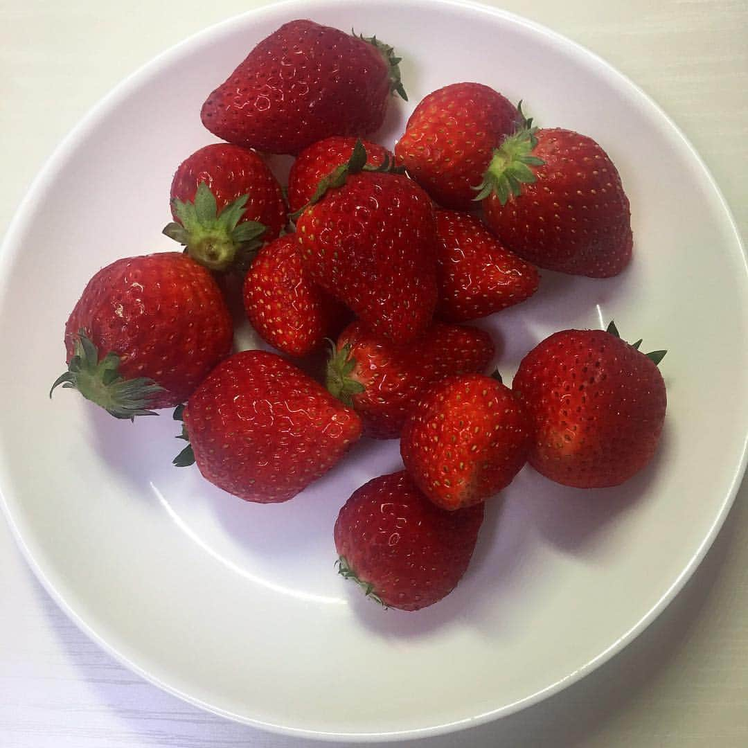 高岡未來のインスタグラム：「#吉村農園 さんにいただいた🍓 をたべておやすみなさい〜！ 幸せだ---- #おやすみくりん」