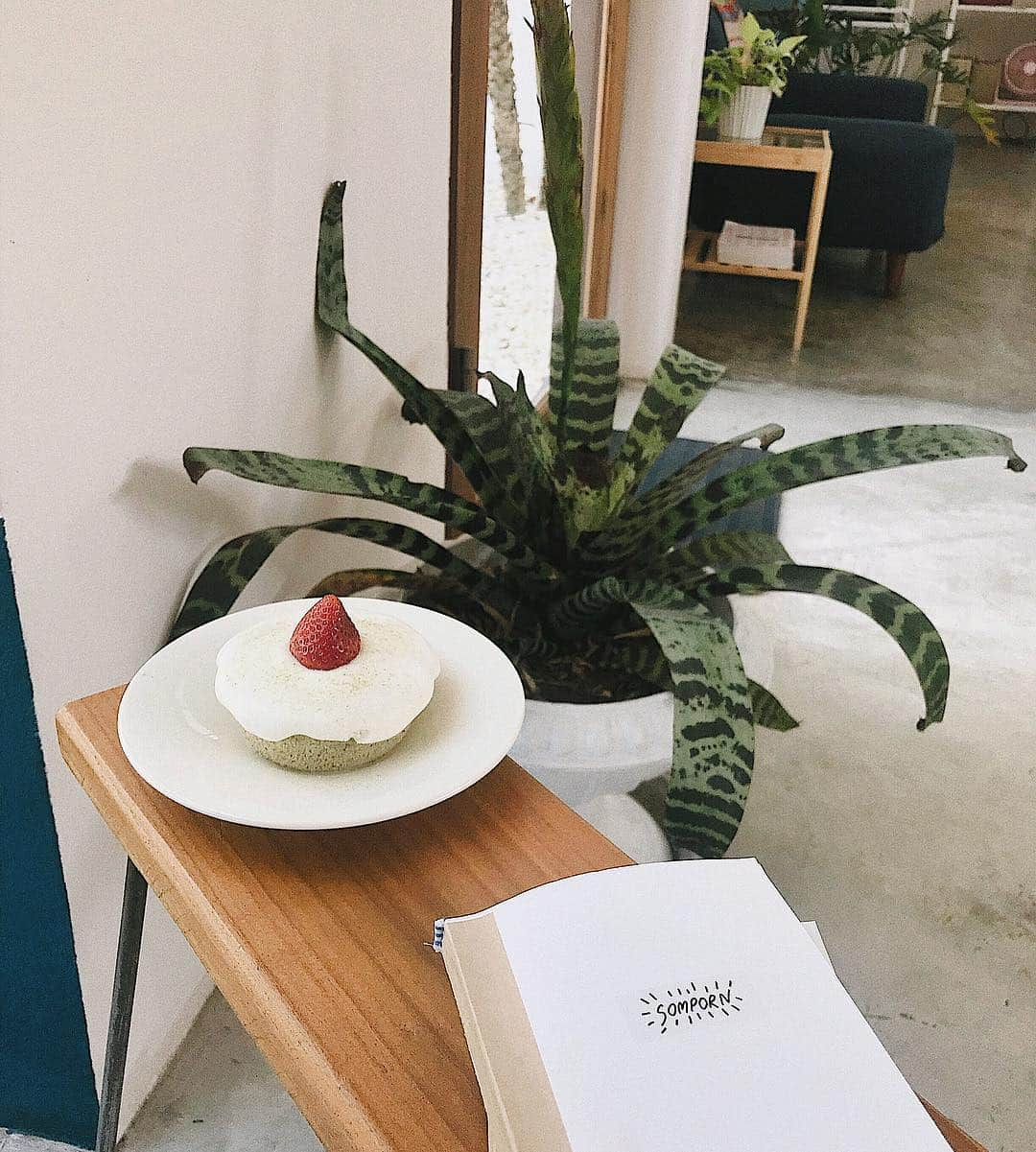 PIMTHAさんのインスタグラム写真 - (PIMTHAInstagram)「Afternoon matcha Chiffon 🍰  โดน @abchuthai แย่งกิน 🍓😒 #cafehopping #chiangmailife #cafechiangmai #afternoontreat #sweetlife」4月10日 18時12分 - pimtha