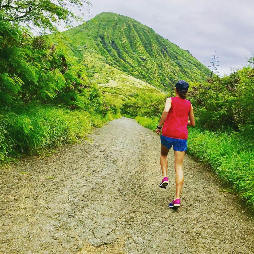福島和可菜さんのインスタグラム写真 - (福島和可菜Instagram)「ハパルアを走った次の日も、やっぱり走る(*˘ ³˘)♥ #Hawaii #ココヘッド #トレイル #running #View #絶景 #Aloha #せっかくだから」4月10日 18時21分 - fukushimawakana