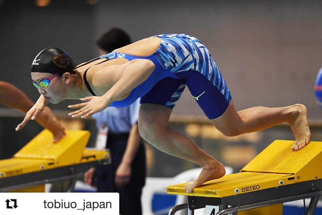 渡部香生子さんのインスタグラム写真 - (渡部香生子Instagram)「日本選手権が終わり、 2年ぶりに代表権獲得することができました！ 辛かった時支えてくれた全ての方々に感謝です。 ありがとうございました😌 これで満足せずにパンパシ、アジア大会と頑張ります！ ＊ #Repost @tobiuo_japan with @get_repost ・・・ 94th JAPAN SWIM 2018  #トビウオジャパン #tobiuojapan #日本選手権 #japanswim #picsport @picsport_japan」4月10日 22時13分 - watakanako