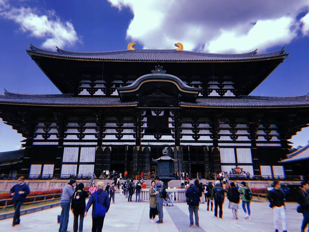 伊藤ゆりさんのインスタグラム写真 - (伊藤ゆりInstagram)「お母さんと奈良・京都へ旅に出た！ 桜散るらむ、、桜の時期がわからない常識知らずにへこむヽ(´▽｀)/ までもお母さんとゆっくりできたし お部屋もラージサイズになったし 一乗寺の極鳥たべれたし なによりたかこに会えたしよかったったったヽ(´▽｀)/💨💨 . #春日大社 #春日大社参道 #東大寺 #東大寺大仏殿 #ちょっと桜 #東大寺ミュージアム #嵐山 #よしむら #トロッコ電車 #八阪神社 #平宗奈良店 #柿の葉寿司 #環奈 #茶粥 #一乗寺 #極鳥 #エクシブ京都離宮 #オークホステル奈良」4月10日 23時11分 - ito0aiueorange