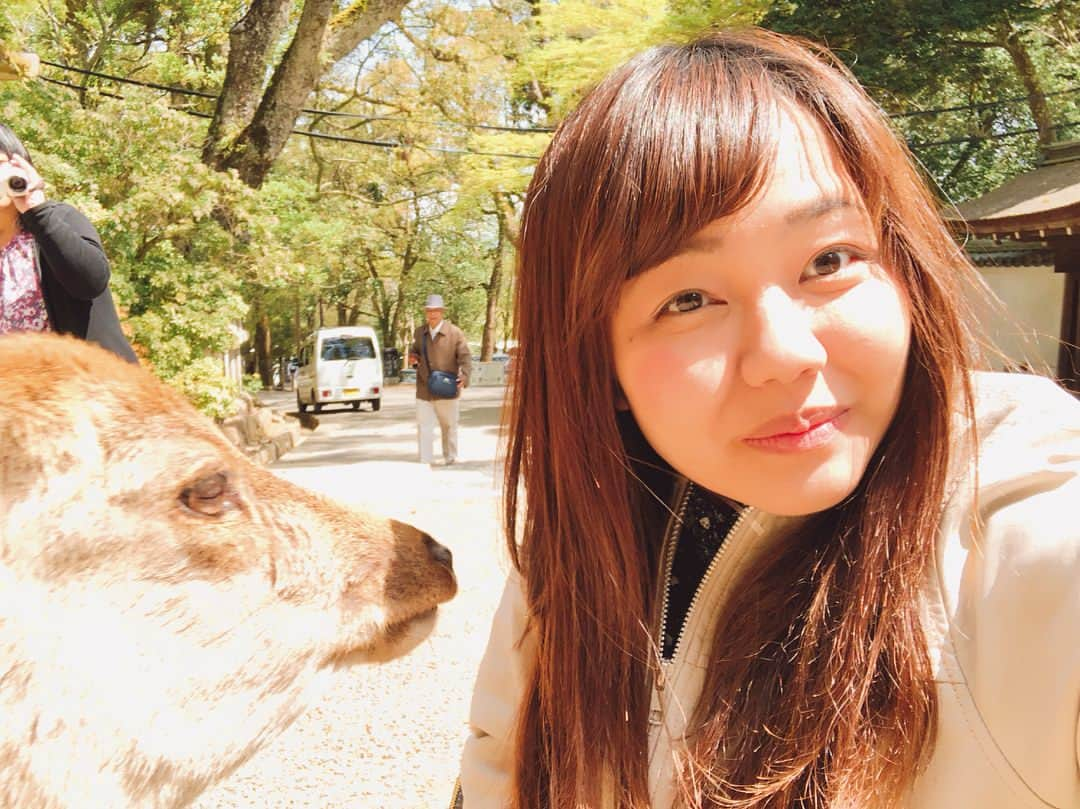 伊藤ゆりさんのインスタグラム写真 - (伊藤ゆりInstagram)「お母さんと奈良・京都へ旅に出た！ 桜散るらむ、、桜の時期がわからない常識知らずにへこむヽ(´▽｀)/ までもお母さんとゆっくりできたし お部屋もラージサイズになったし 一乗寺の極鳥たべれたし なによりたかこに会えたしよかったったったヽ(´▽｀)/💨💨 . #春日大社 #春日大社参道 #東大寺 #東大寺大仏殿 #ちょっと桜 #東大寺ミュージアム #嵐山 #よしむら #トロッコ電車 #八阪神社 #平宗奈良店 #柿の葉寿司 #環奈 #茶粥 #一乗寺 #極鳥 #エクシブ京都離宮 #オークホステル奈良」4月10日 23時11分 - ito0aiueorange